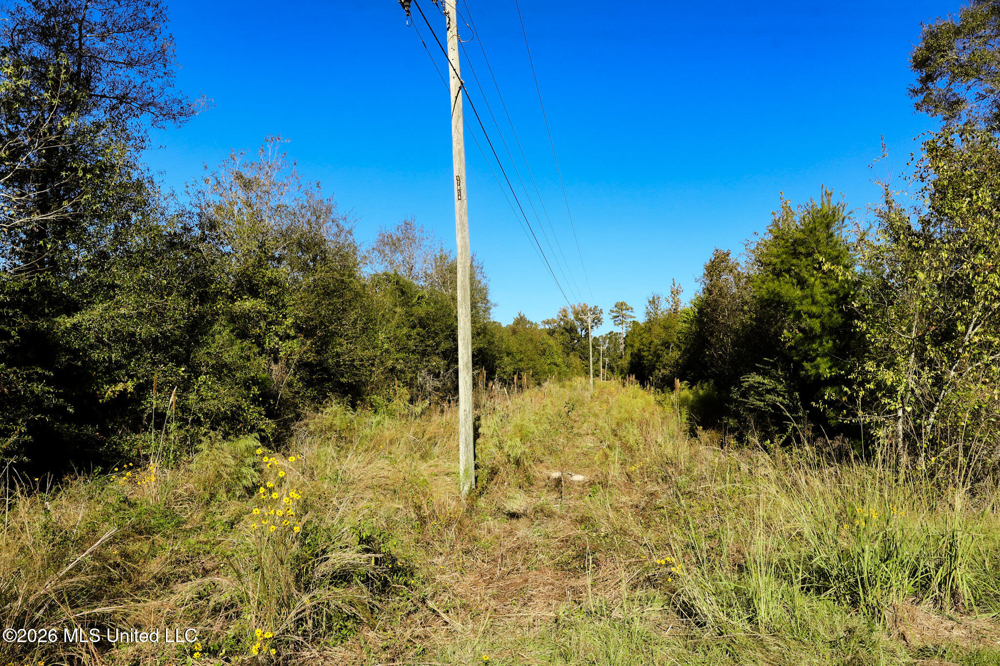 Sugar Farm Road Property Photo 20