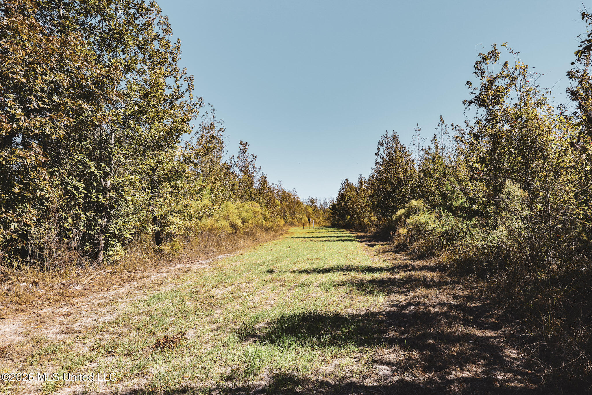 Sugar Farm Road Property Photo 22