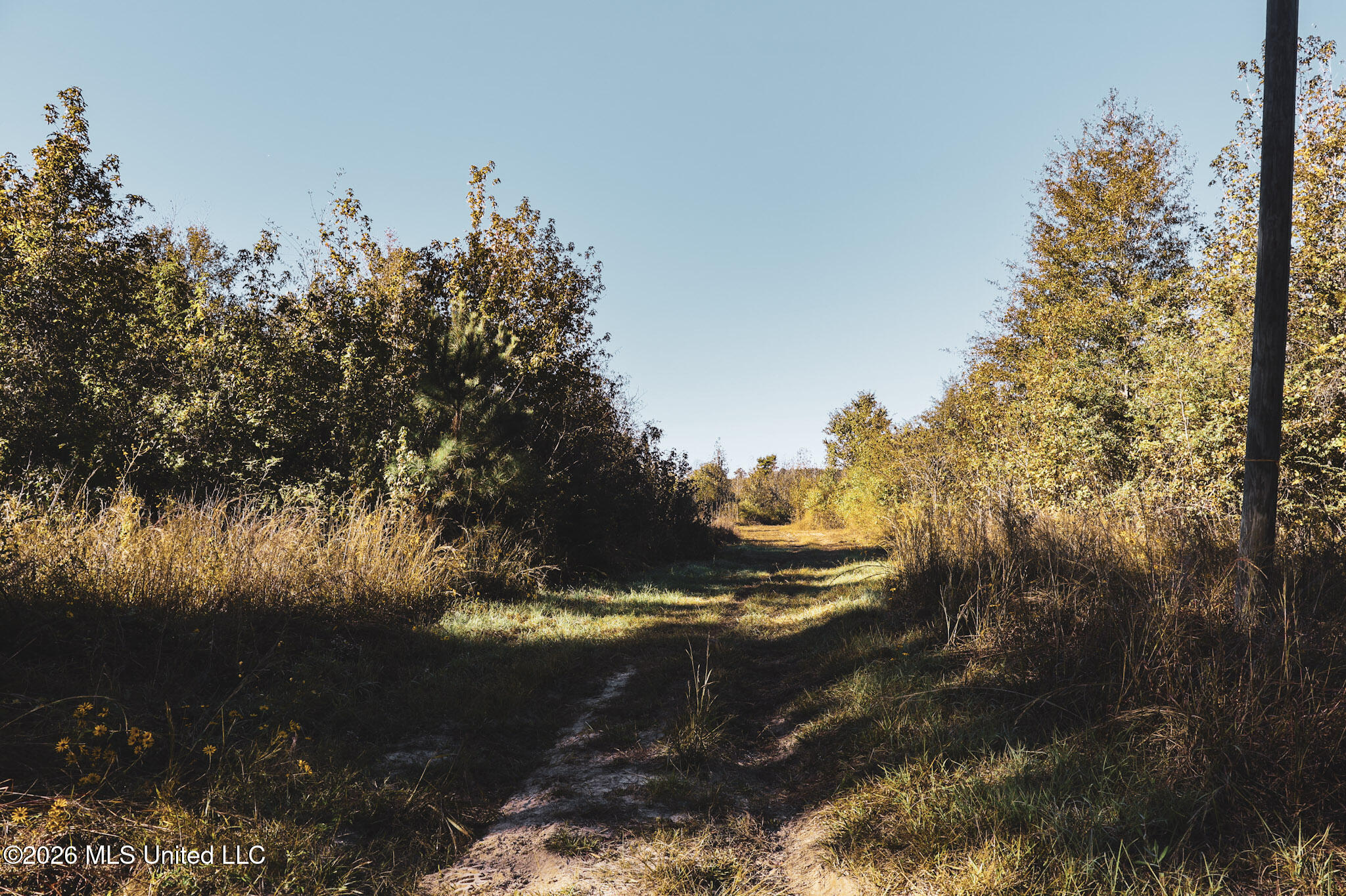 Sugar Farm Road Property Photo 23