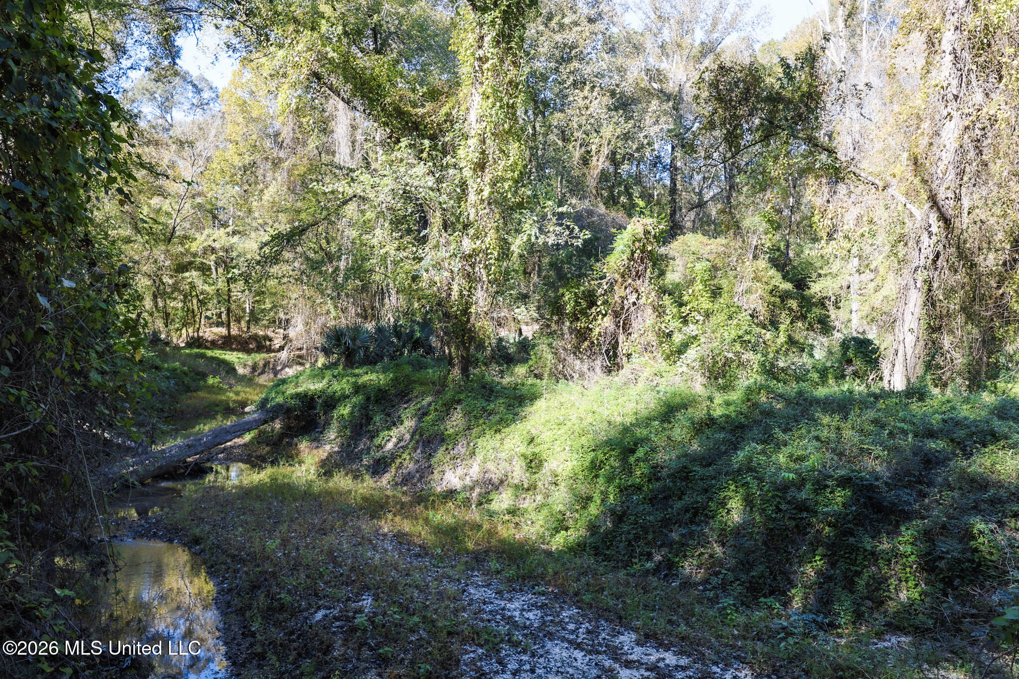 Sugar Farm Road Property Photo 26