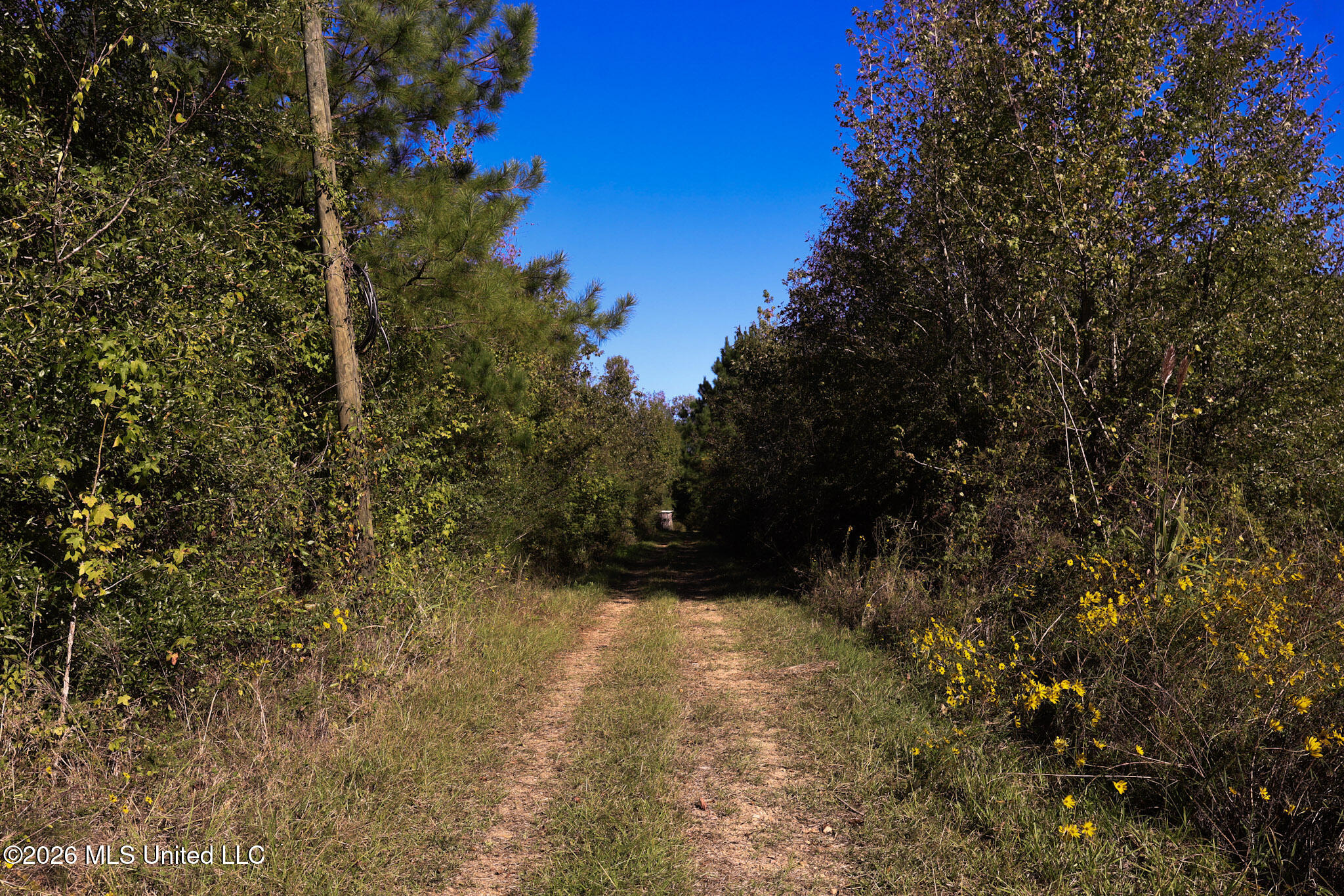 Sugar Farm Road Property Photo 27