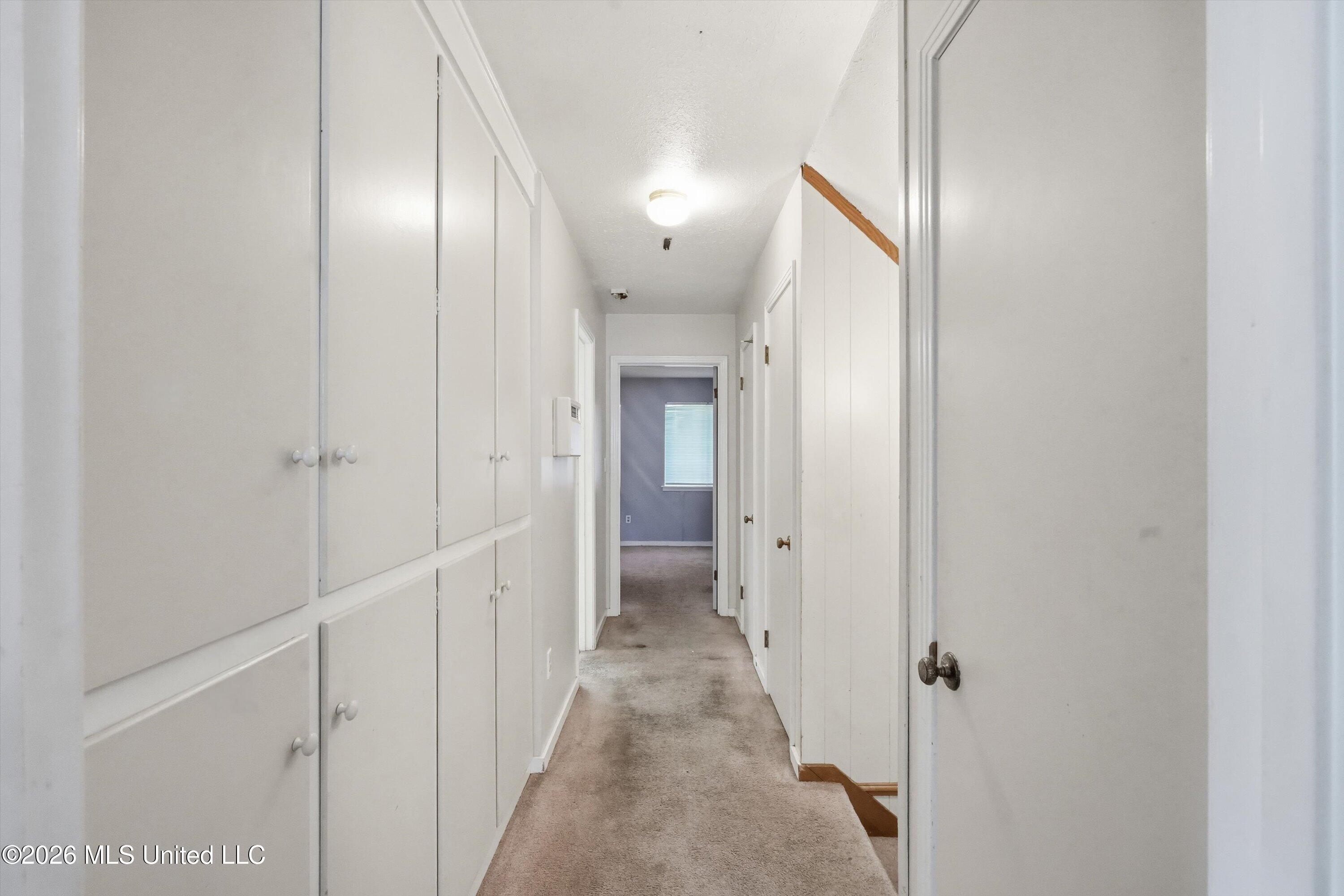 166 Elms Court Circle Property Photo 18