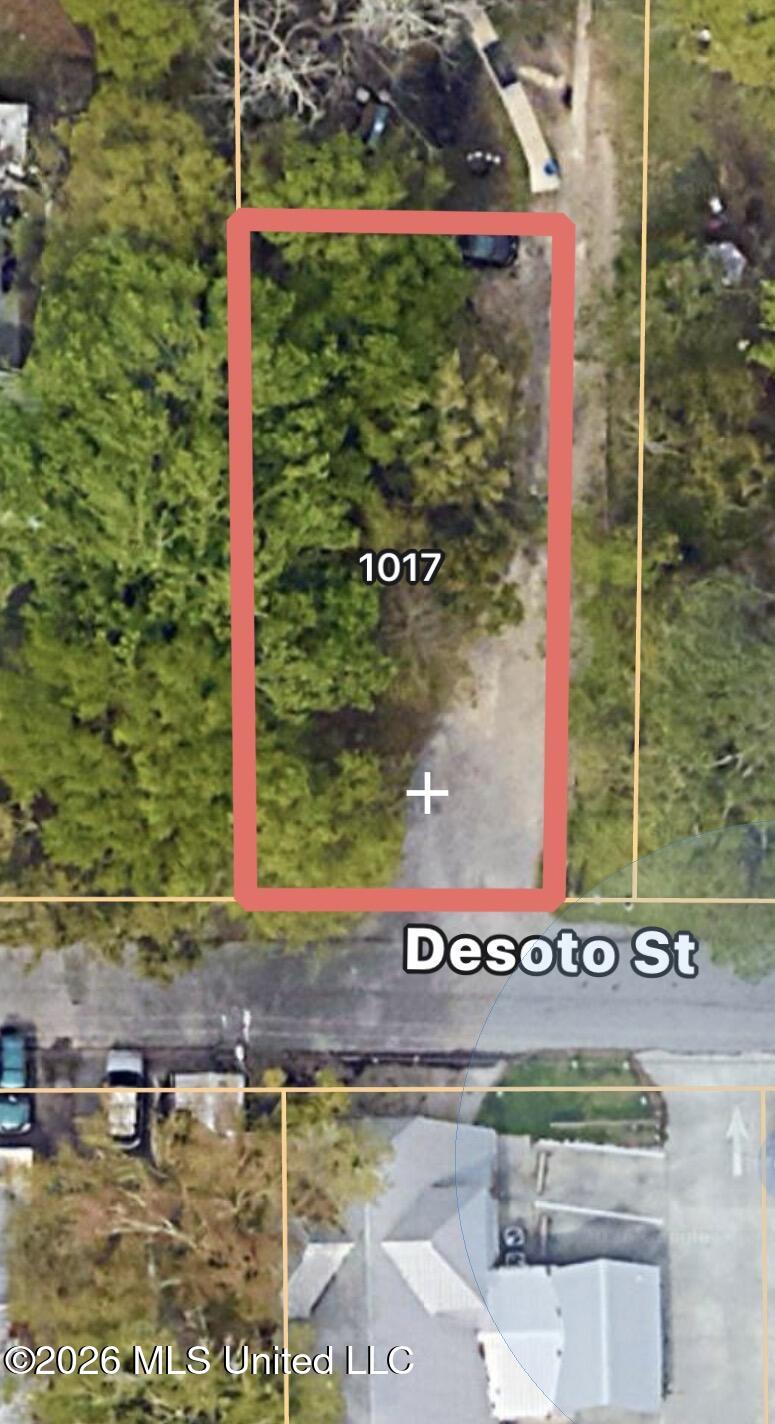 1017 Desoto Street Property Photo 1