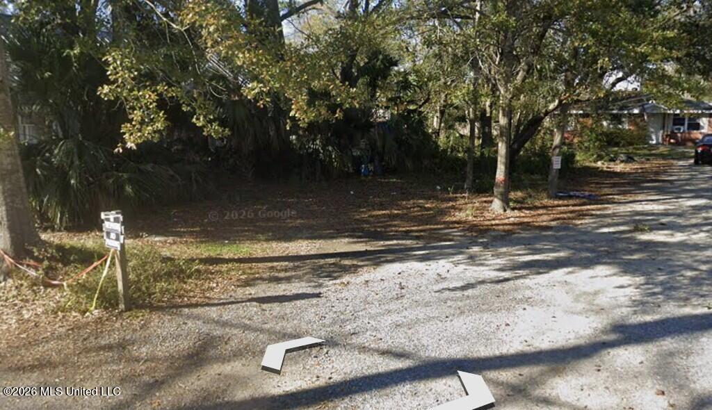 1017 Desoto Street Property Photo 4