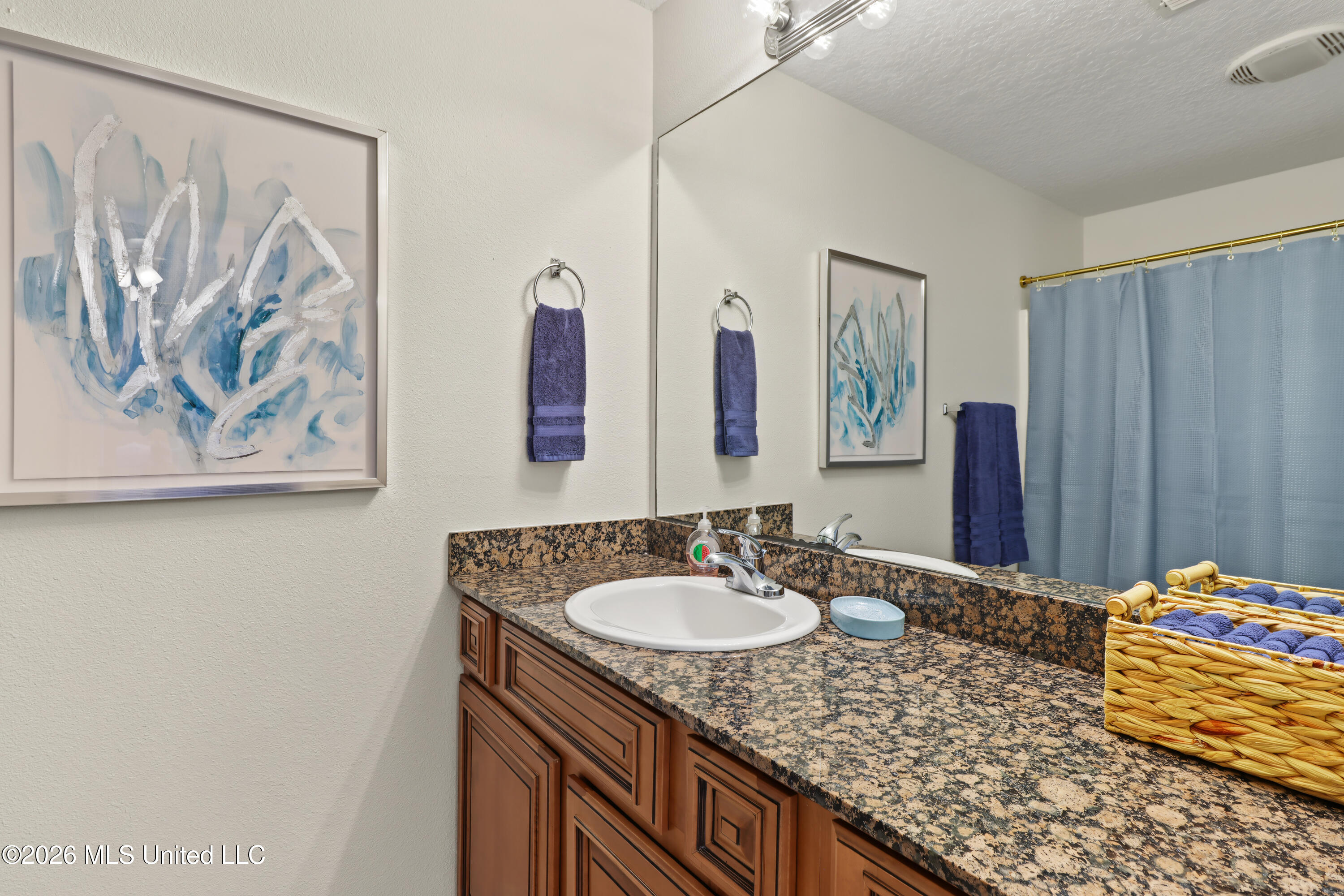 1101 Century Oaks Drive Property Photo 17