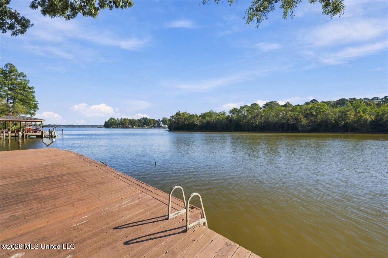 704 Forest Point Drive Property Photo 45