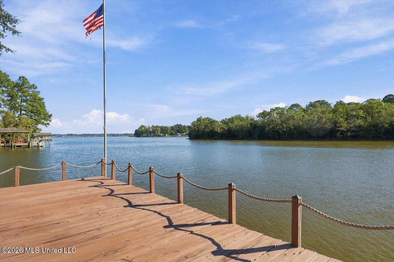 704 Forest Point Drive Property Photo 51