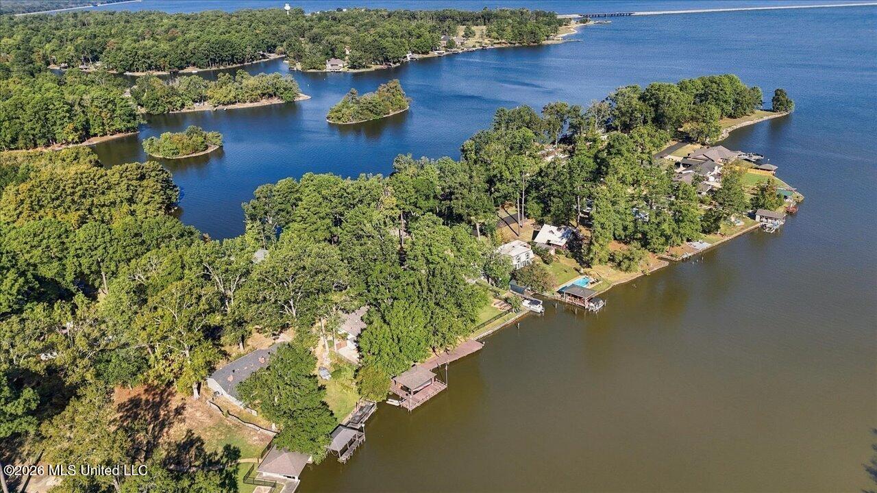 704 Forest Point Drive Property Photo 56