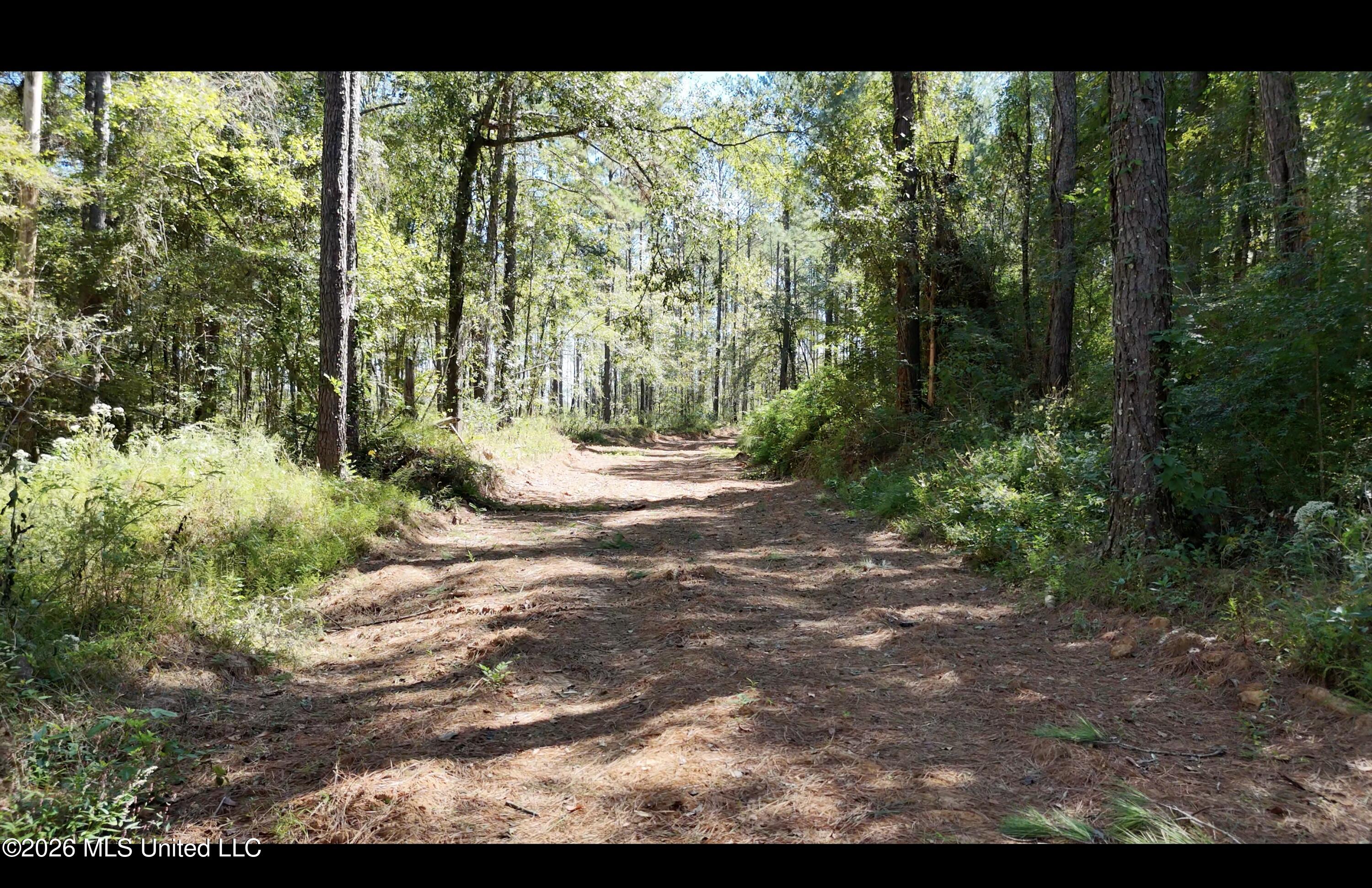 Gunnell Road Property Photo 1