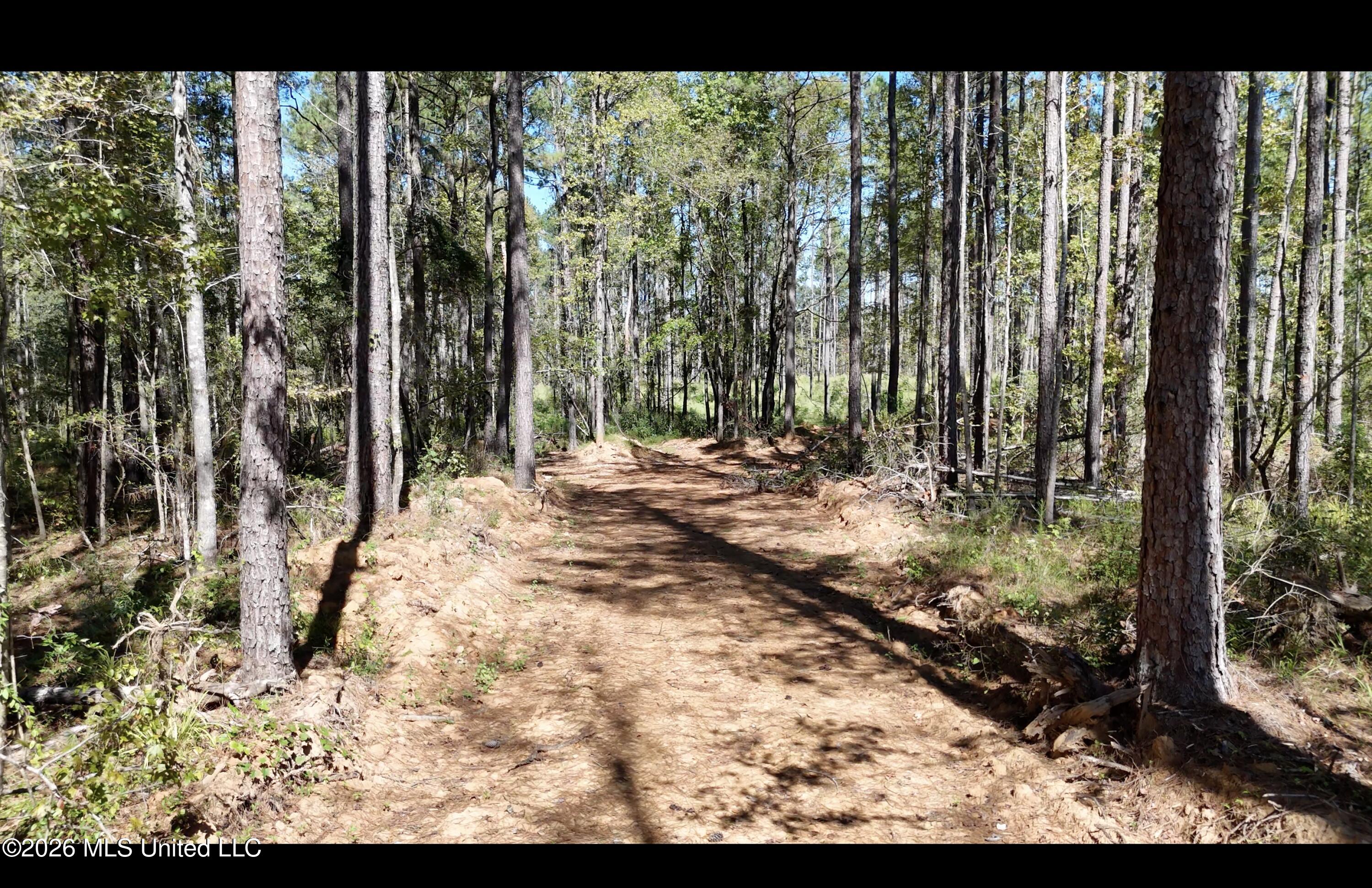 Gunnell Road Property Photo 2