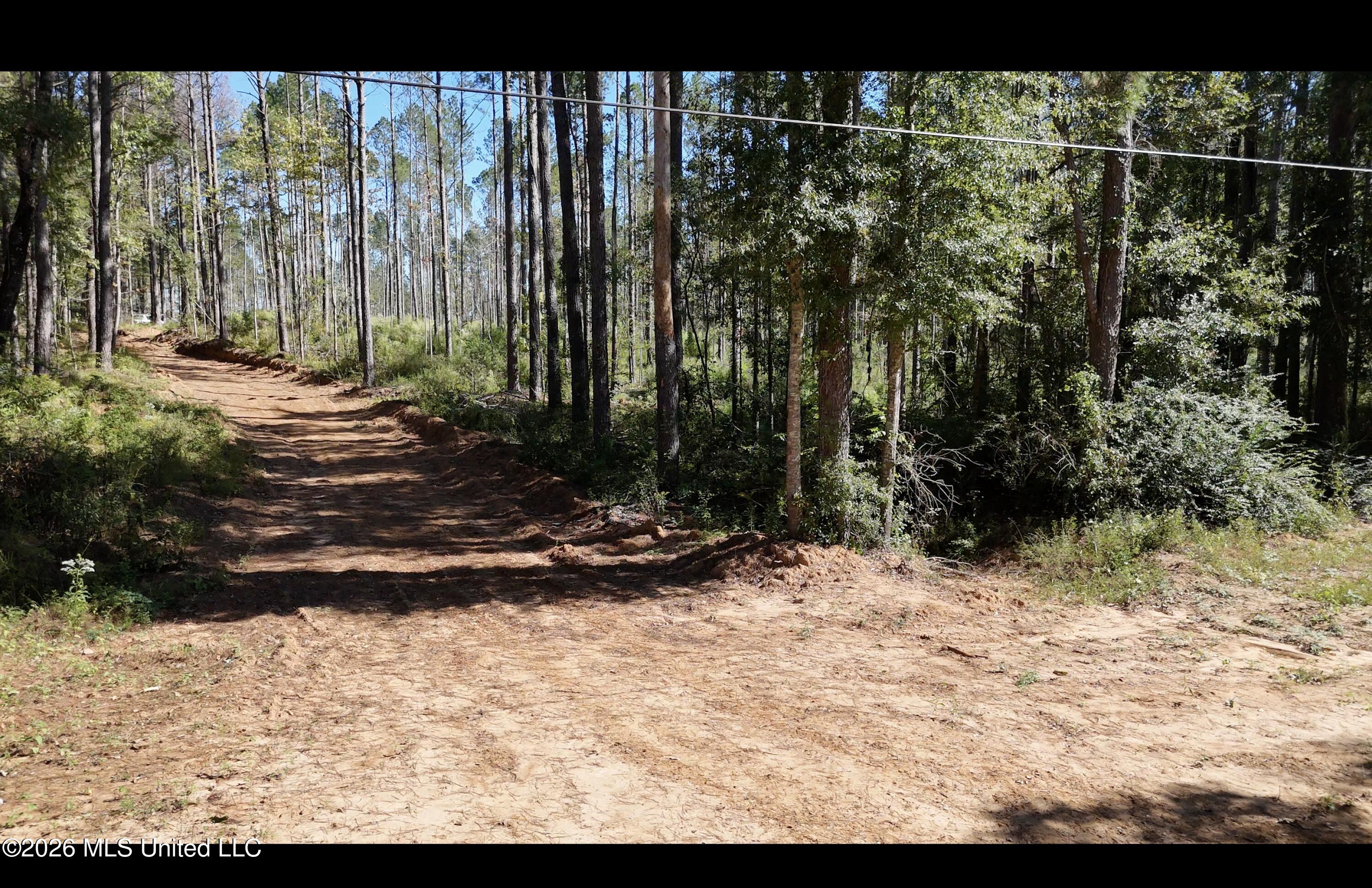 Gunnell Road Property Photo 3
