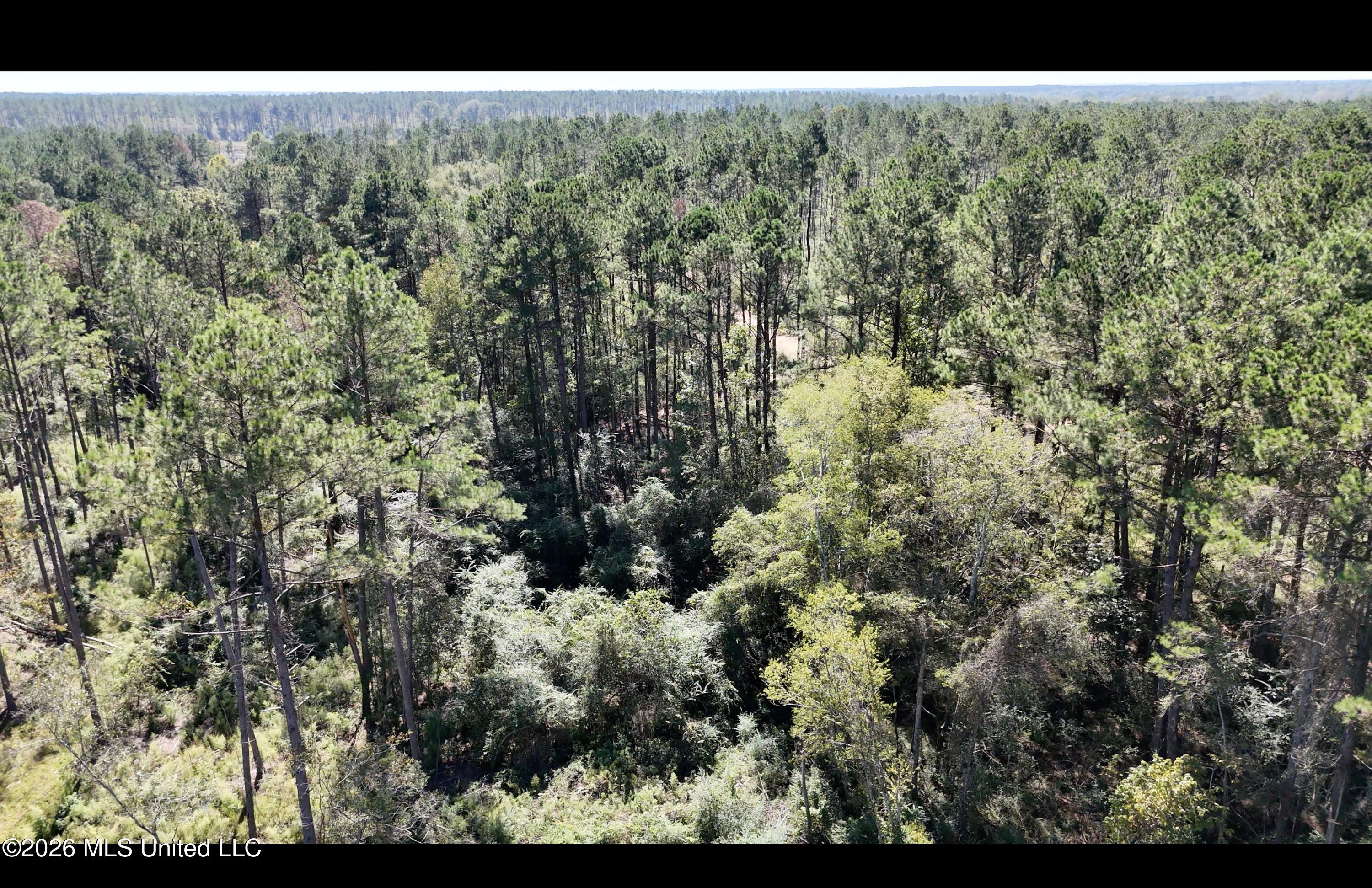 Gunnell Road Property Photo 12