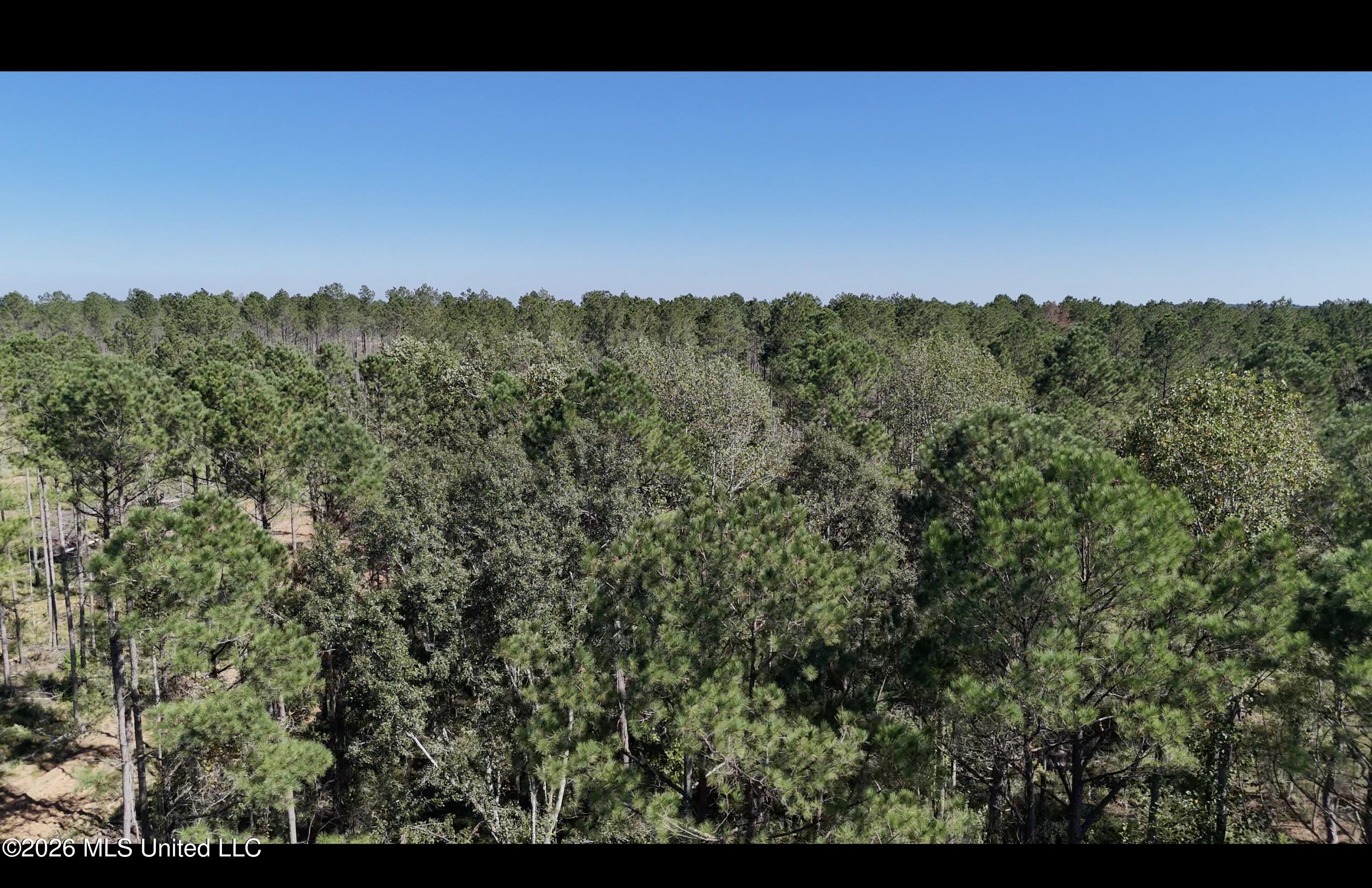 Gunnell Road Property Photo 16