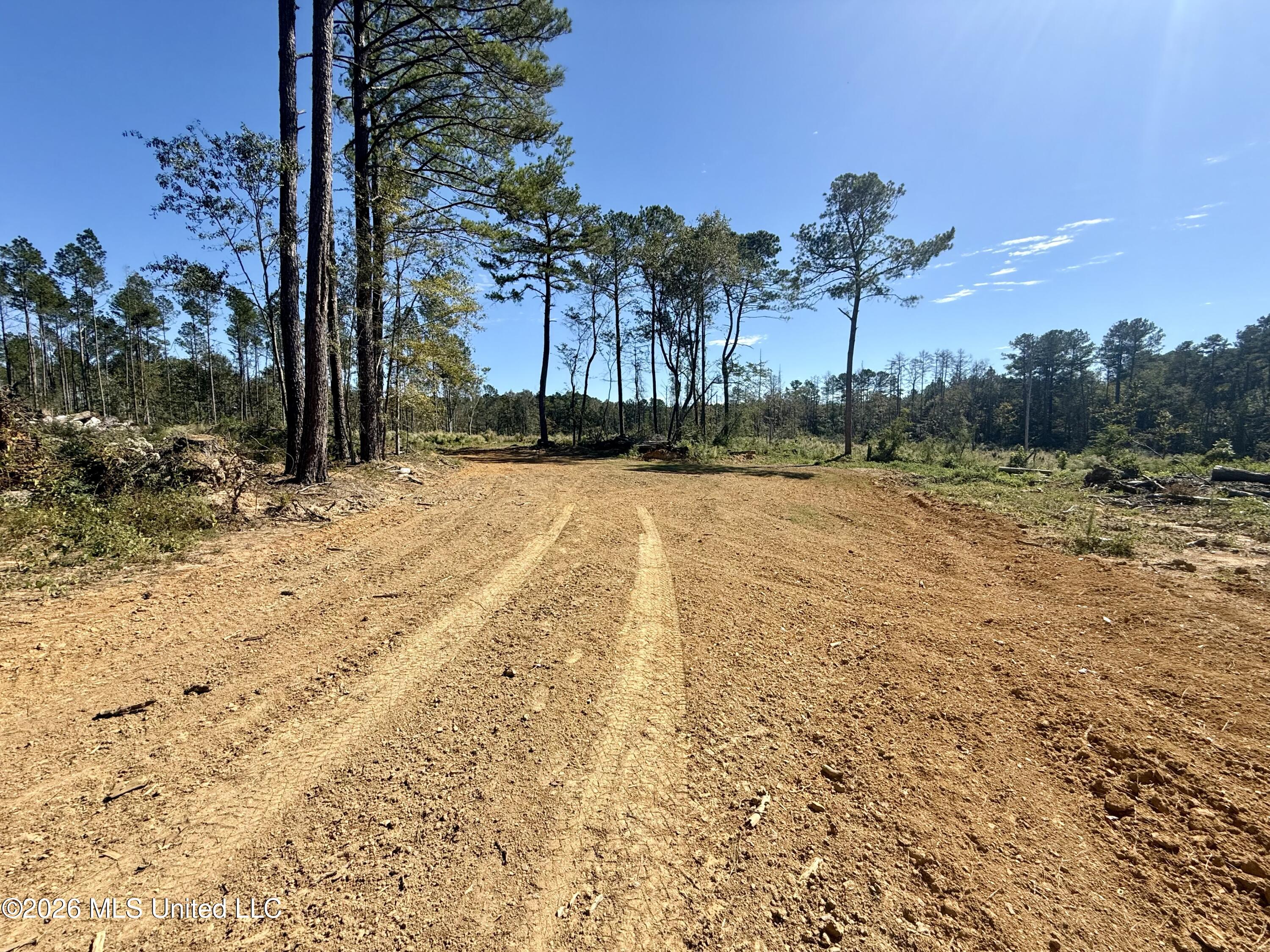 Gunnell Road Property Photo 17