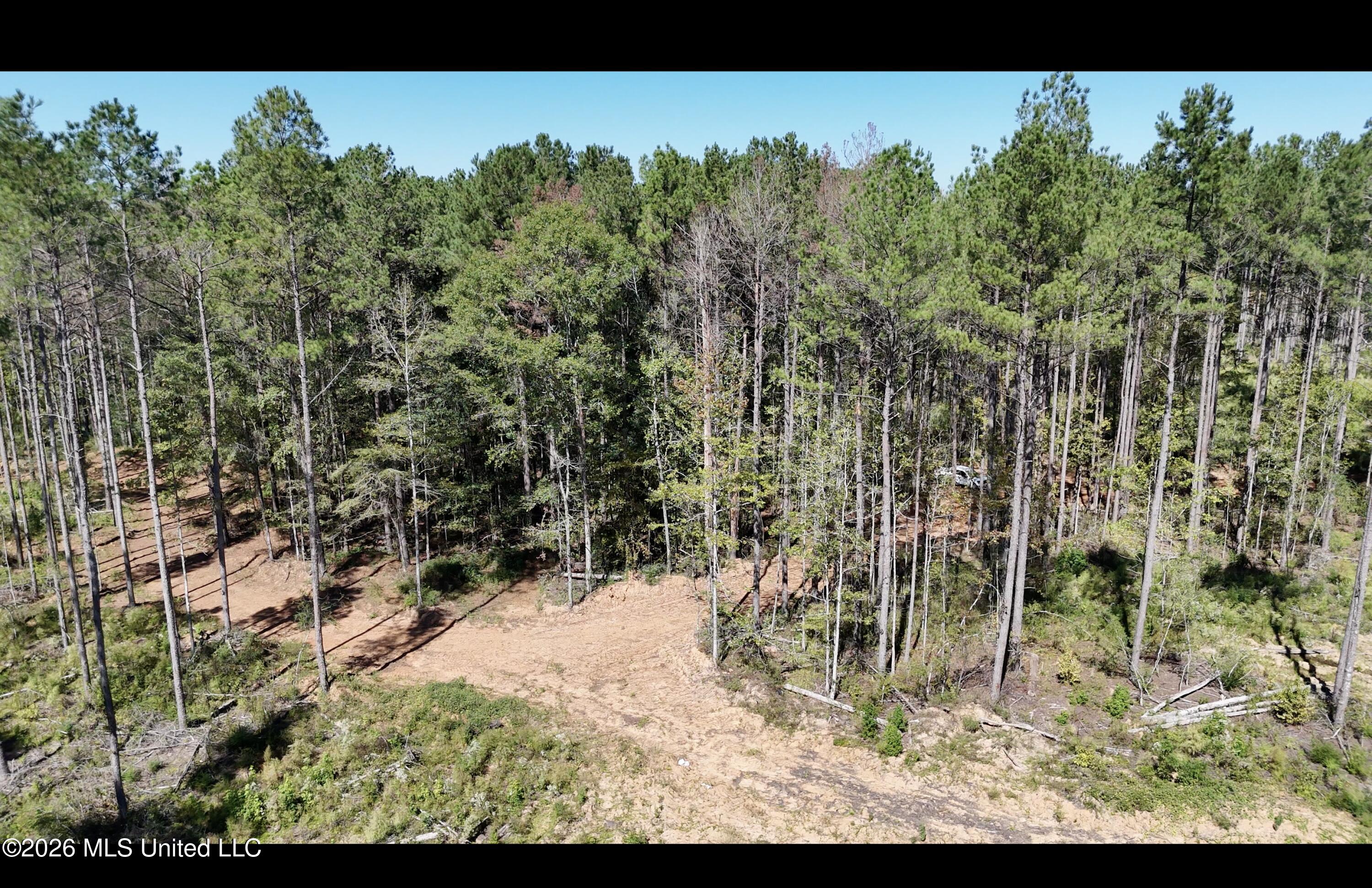 Gunnell Road Property Photo 18