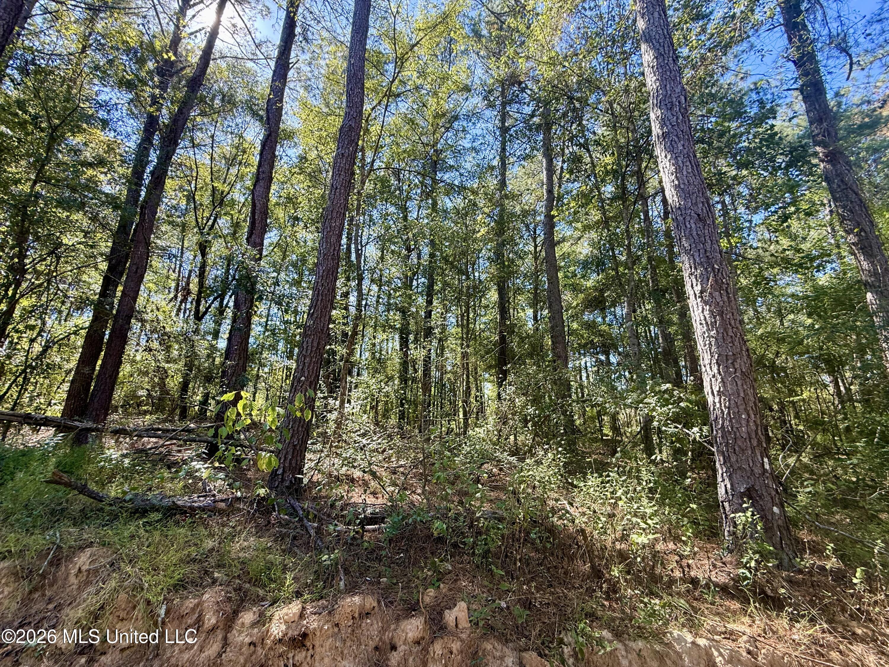 Gunnell Road Property Photo 20