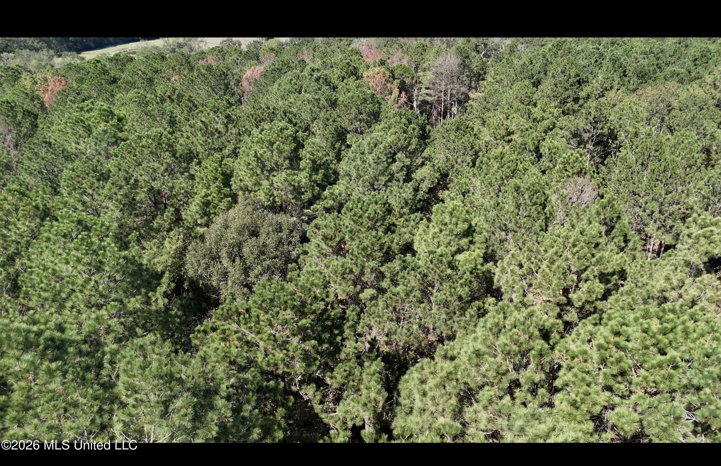 Gunnell Road Property Photo 21