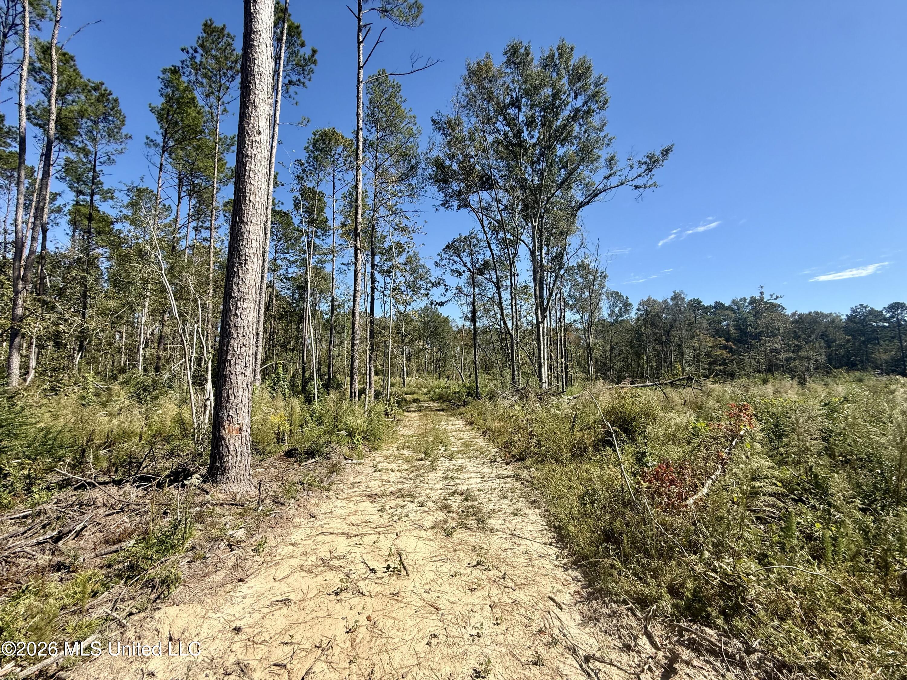 Gunnell Road Property Photo 32