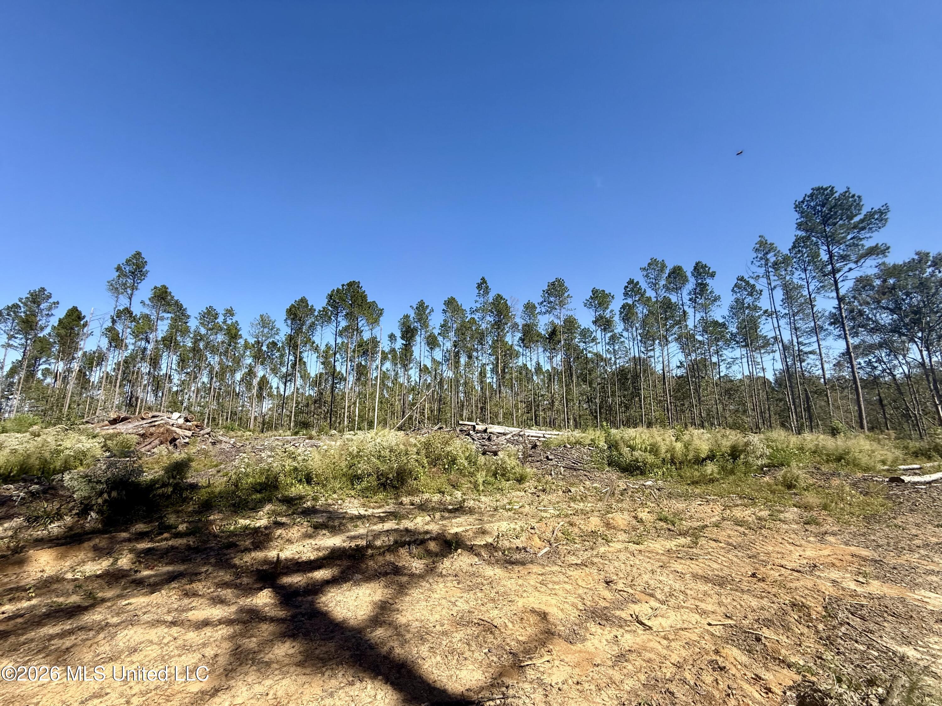 Gunnell Road Property Photo 33