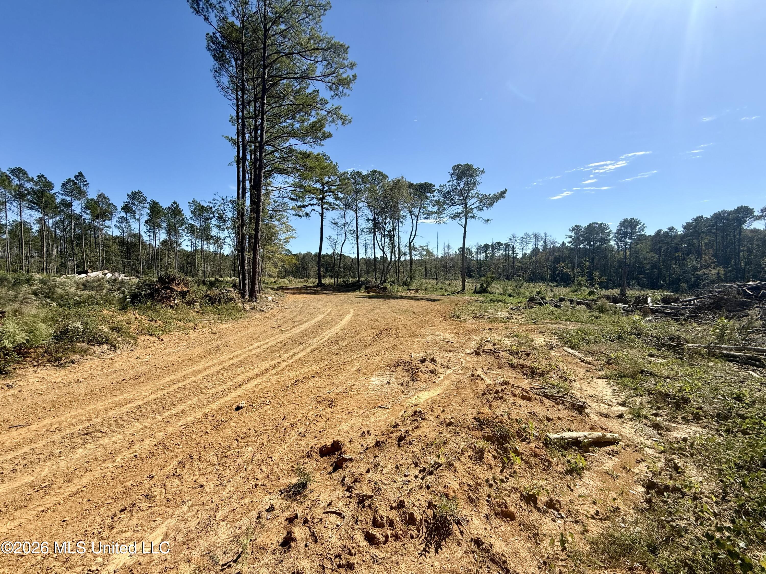 Gunnell Road Property Photo 34