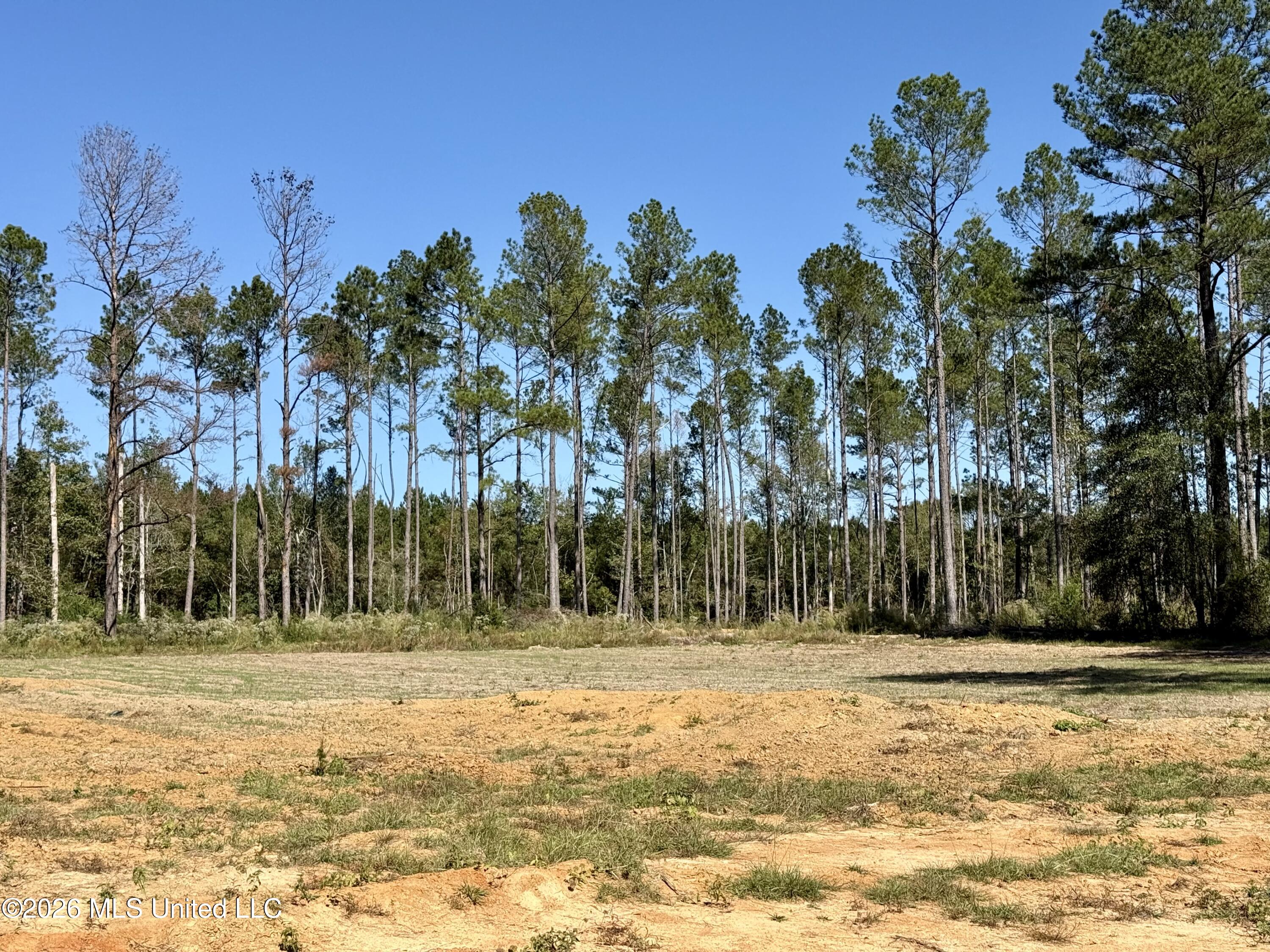 Gunnell Road Property Photo 37