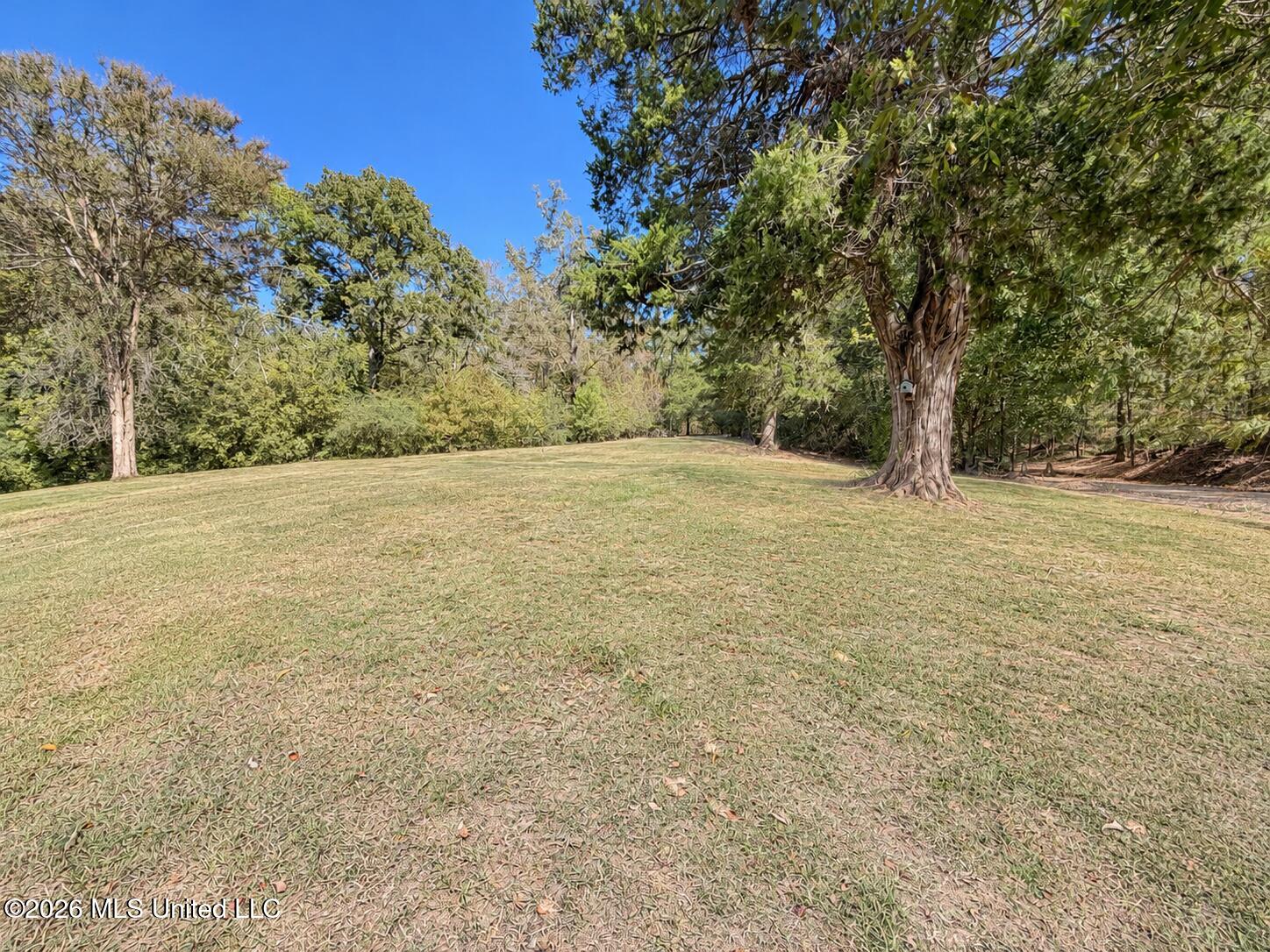 5171 Ebenezer Coxburg Road Property Photo 5