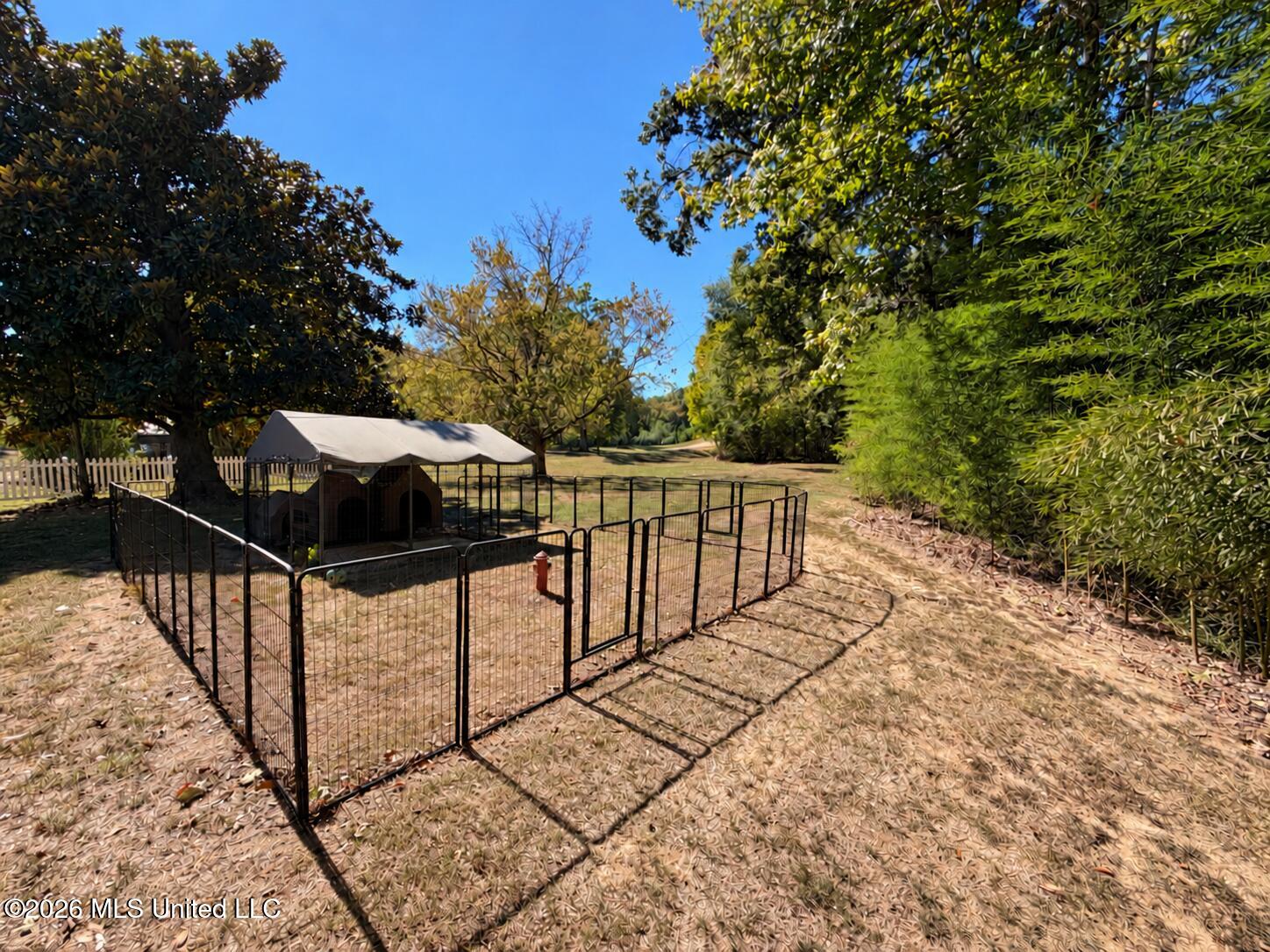 5171 Ebenezer Coxburg Road Property Photo 24