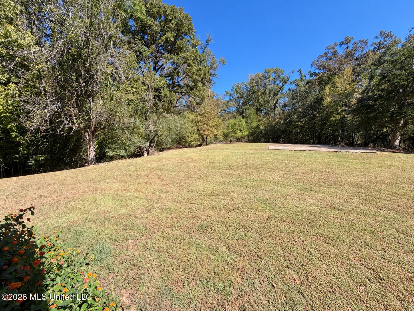 5171 Ebenezer Coxburg Road Property Photo 25