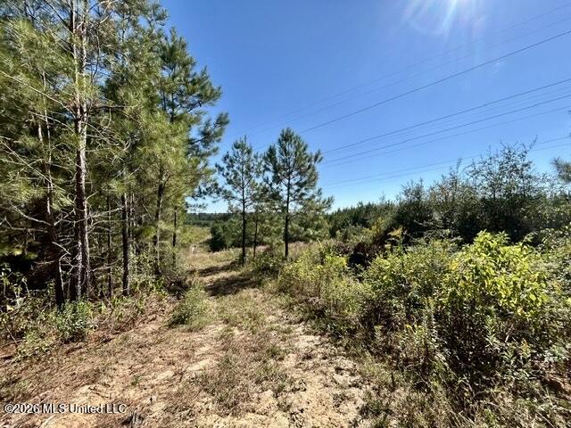 2788 County Farm Rd A D Property Photo 6