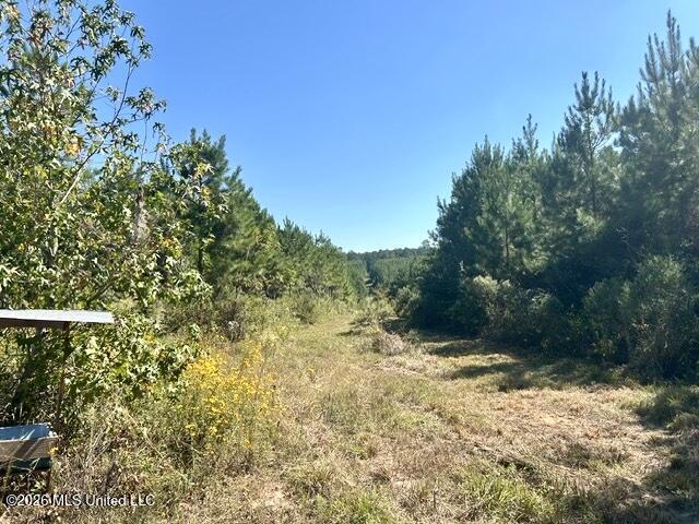 2788 County Farm Rd A D Property Photo 10