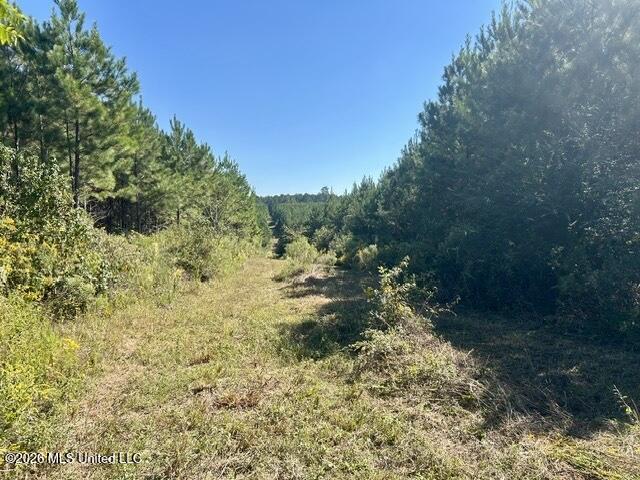 2788 County Farm Rd A D Property Photo 11