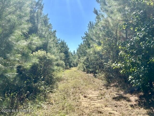 2788 County Farm Rd A D Property Photo 13