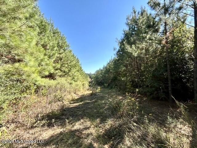 2788 County Farm Rd A D Property Photo 14