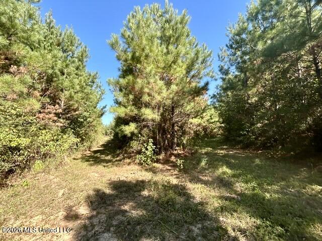 2788 County Farm Rd A D Property Photo 15