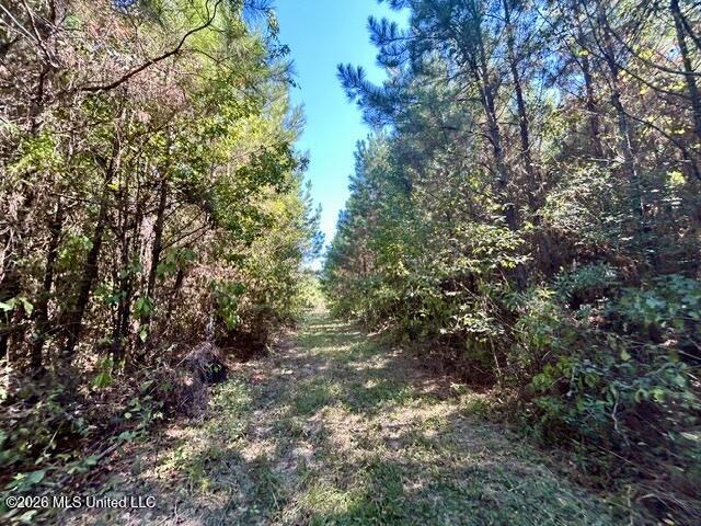 2788 County Farm Rd A D Property Photo 16