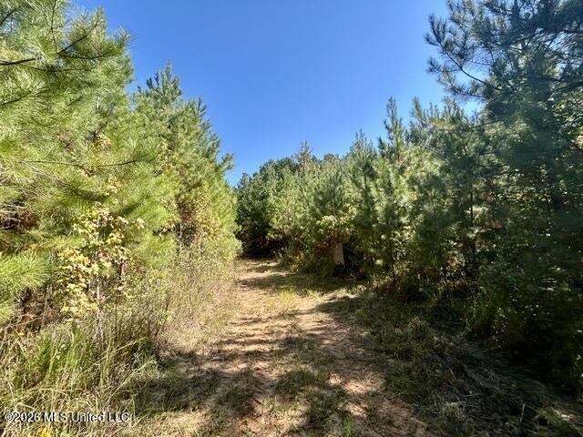 2788 County Farm Rd A D Property Photo 17