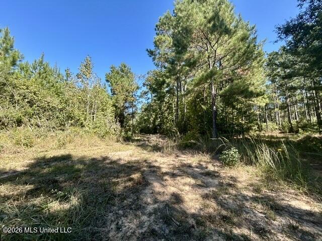 2788 County Farm Rd A D Property Photo 18
