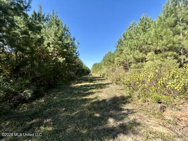 2788 County Farm Rd A D Property Photo 19