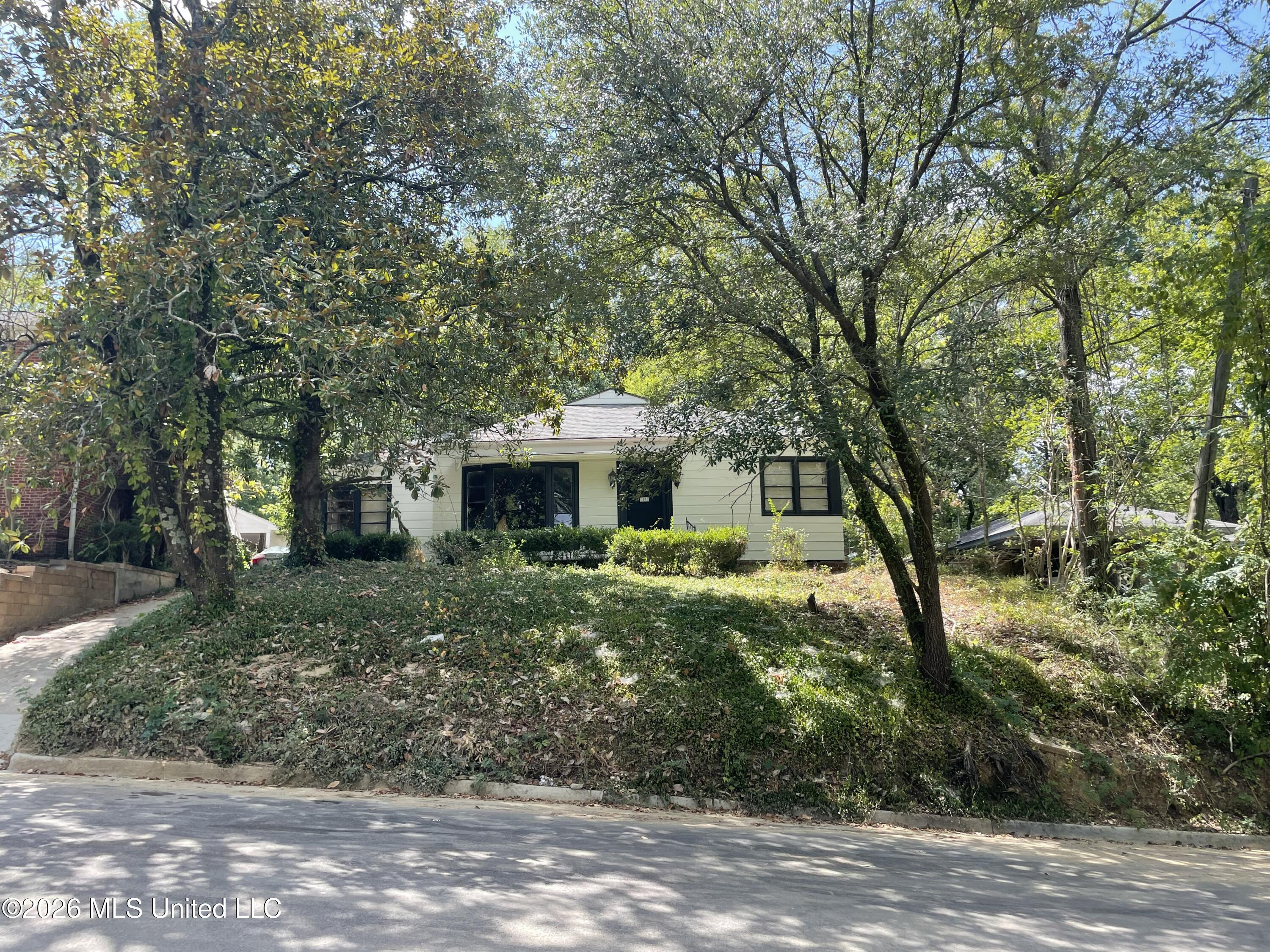 1133 Quinn Street Property Photo 1