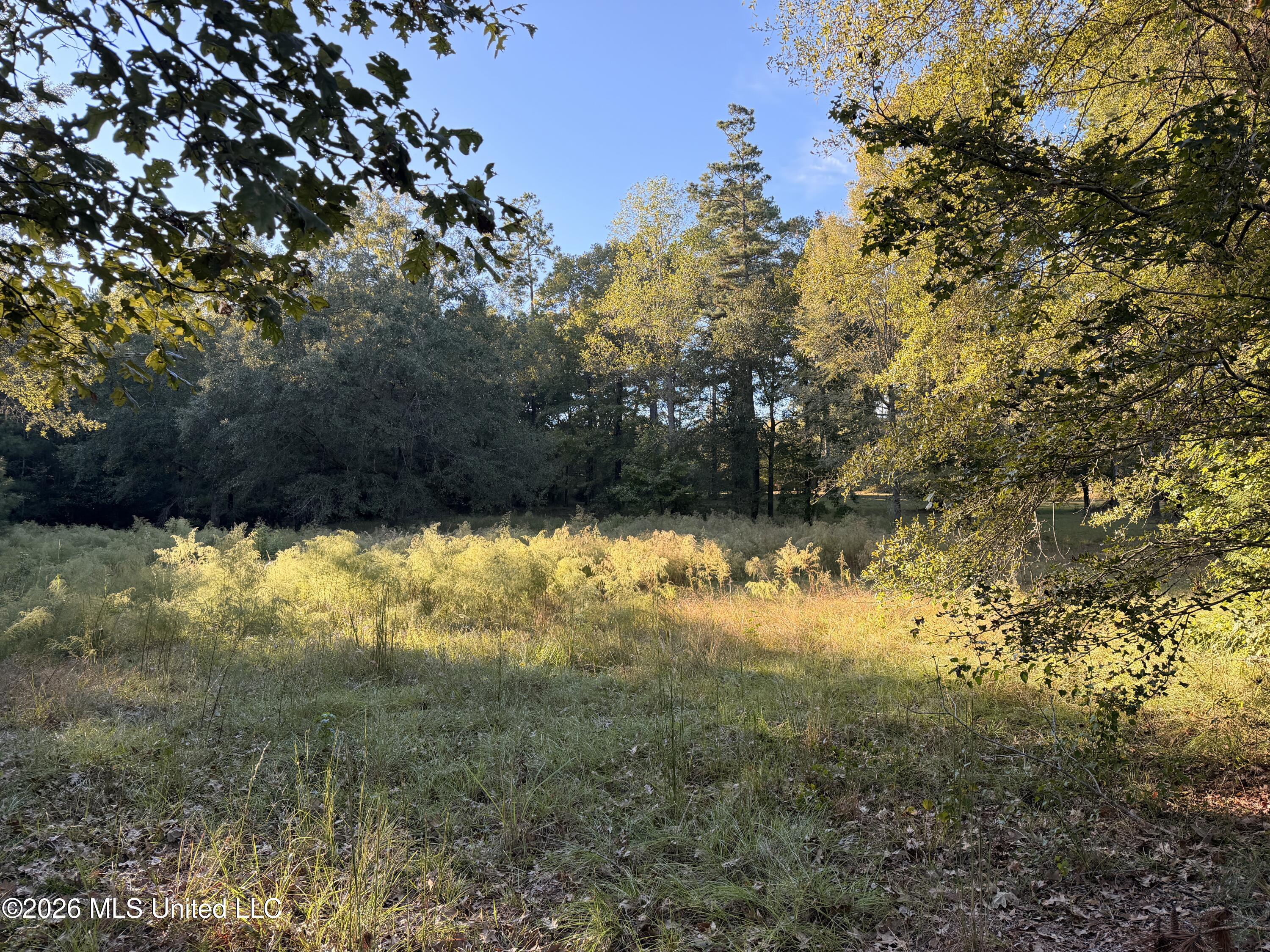 000 Ole Springs Road Property Photo 1