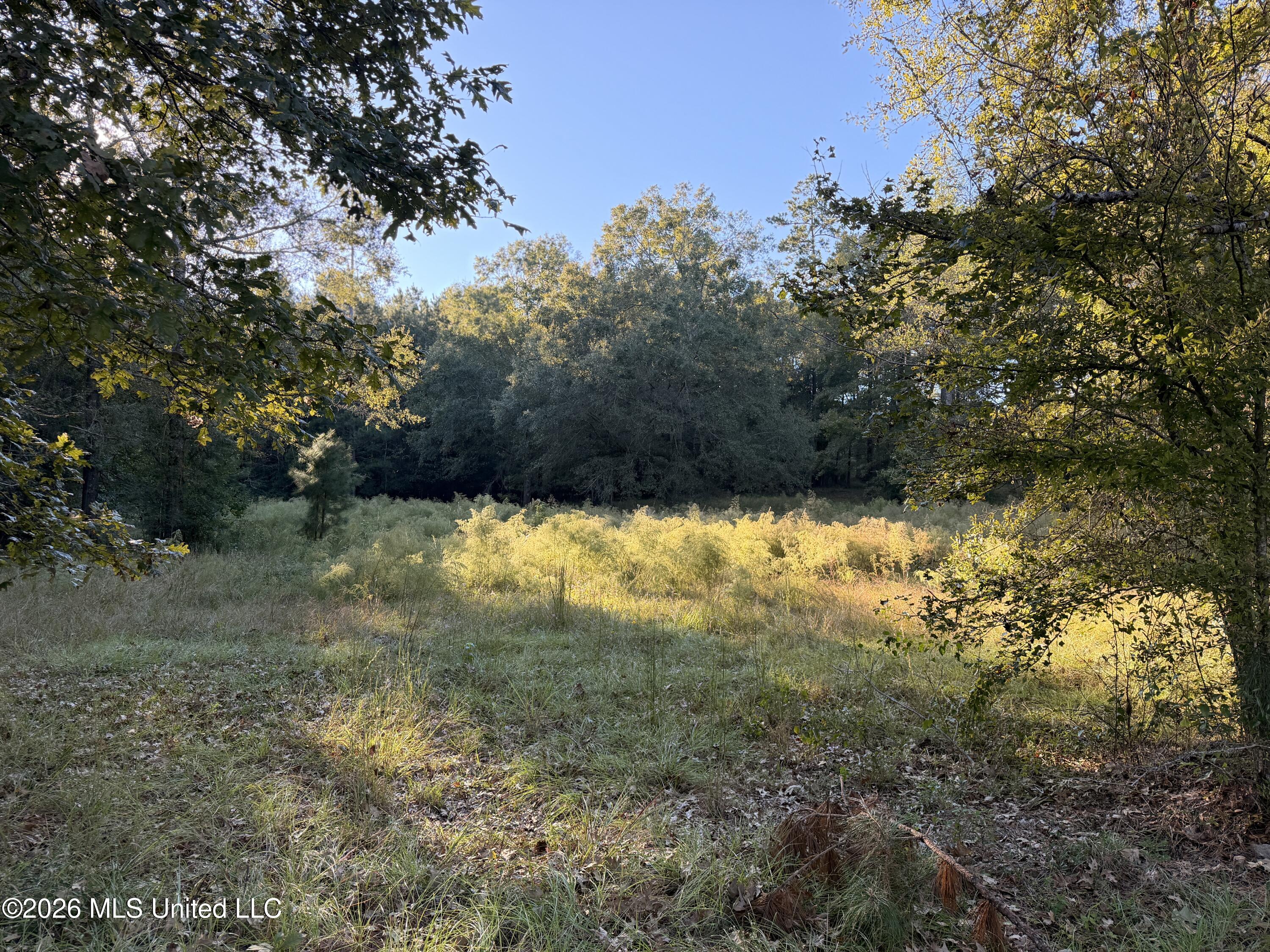 000 Ole Springs Road Property Photo 2