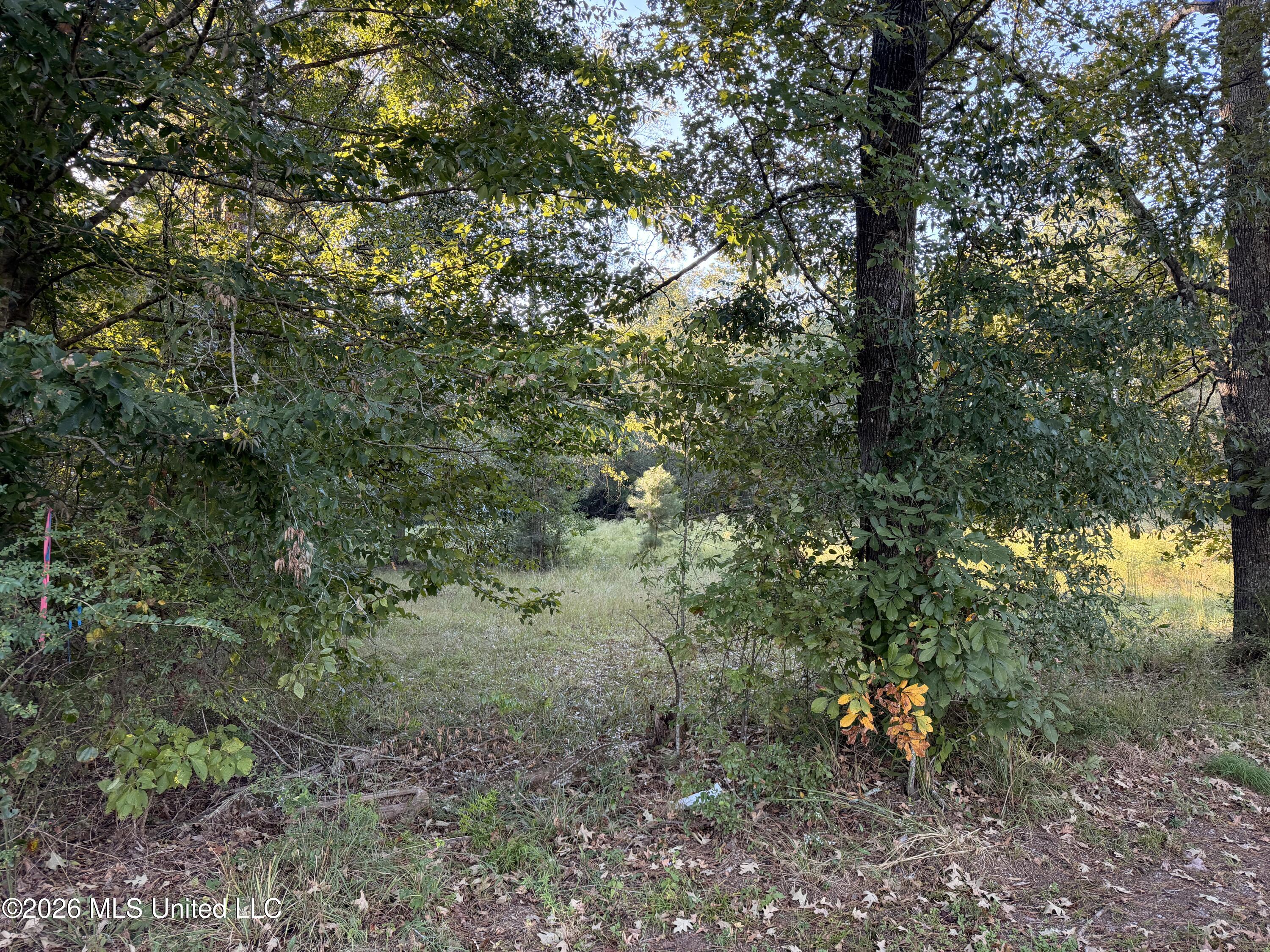 000 Ole Springs Road Property Photo 4