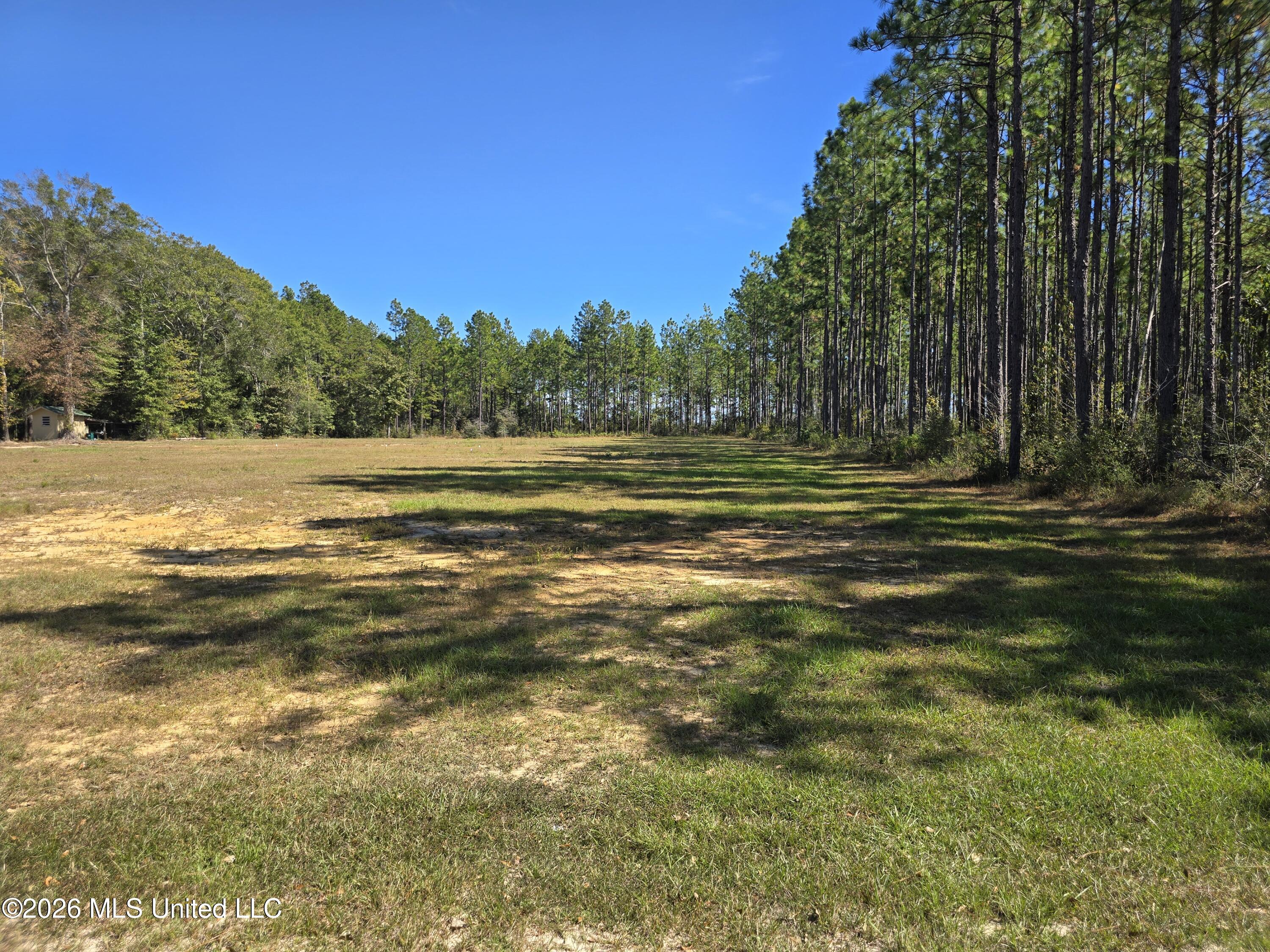 00 Old Hwy 49 Road Property Photo 1