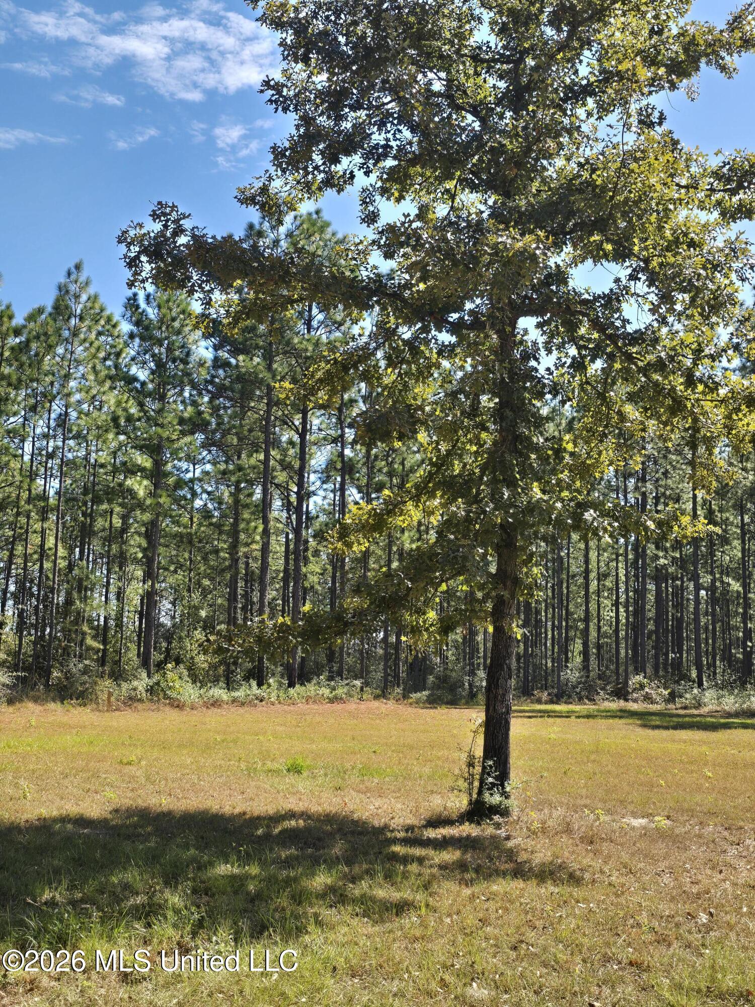 00 Old Hwy 49 Road Property Photo 3