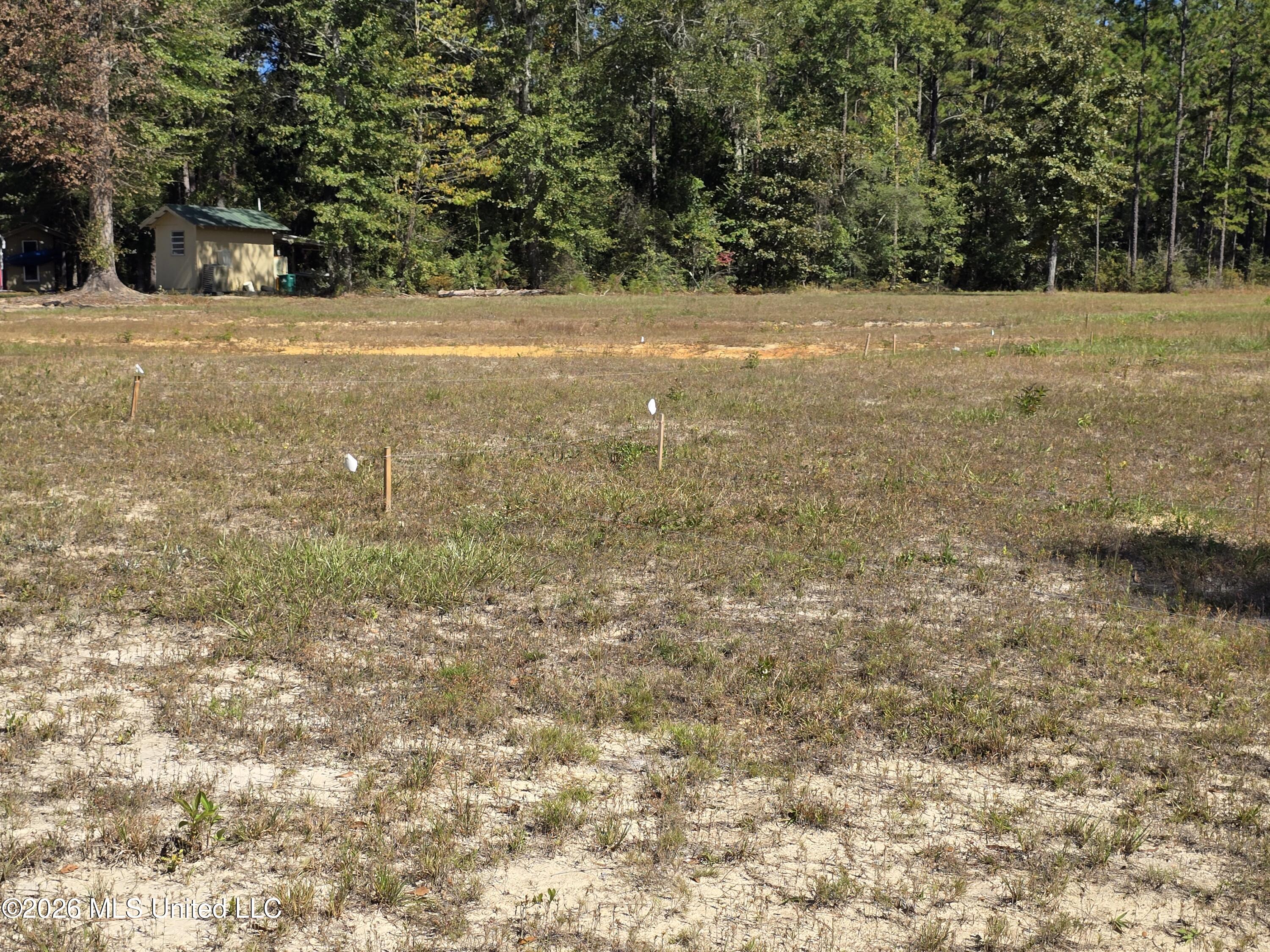 00 Old Hwy 49 Road Property Photo 4