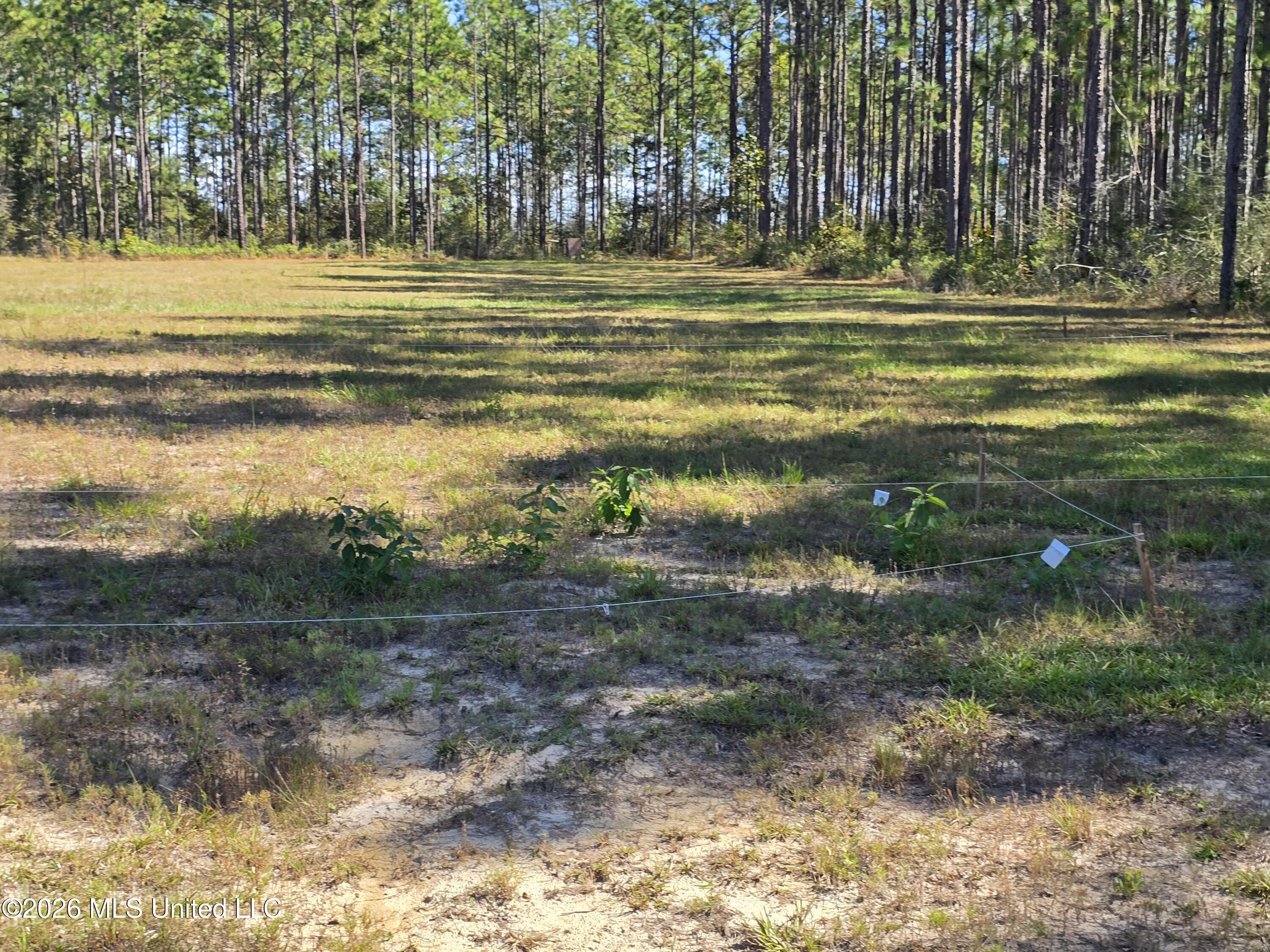 00 Old Hwy 49 Road Property Photo 5