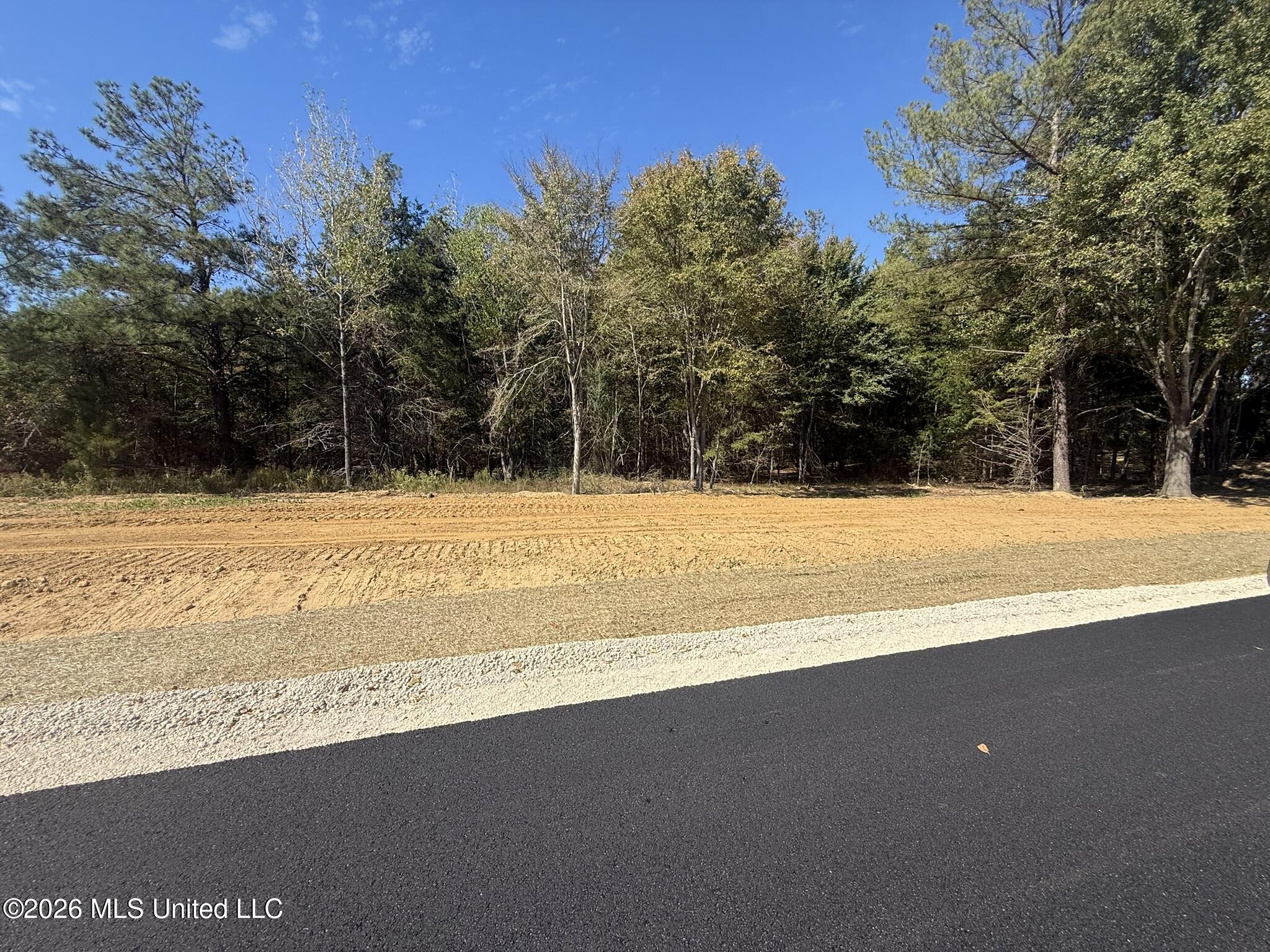 Lot 1 Central Boulevard Property Photo 11