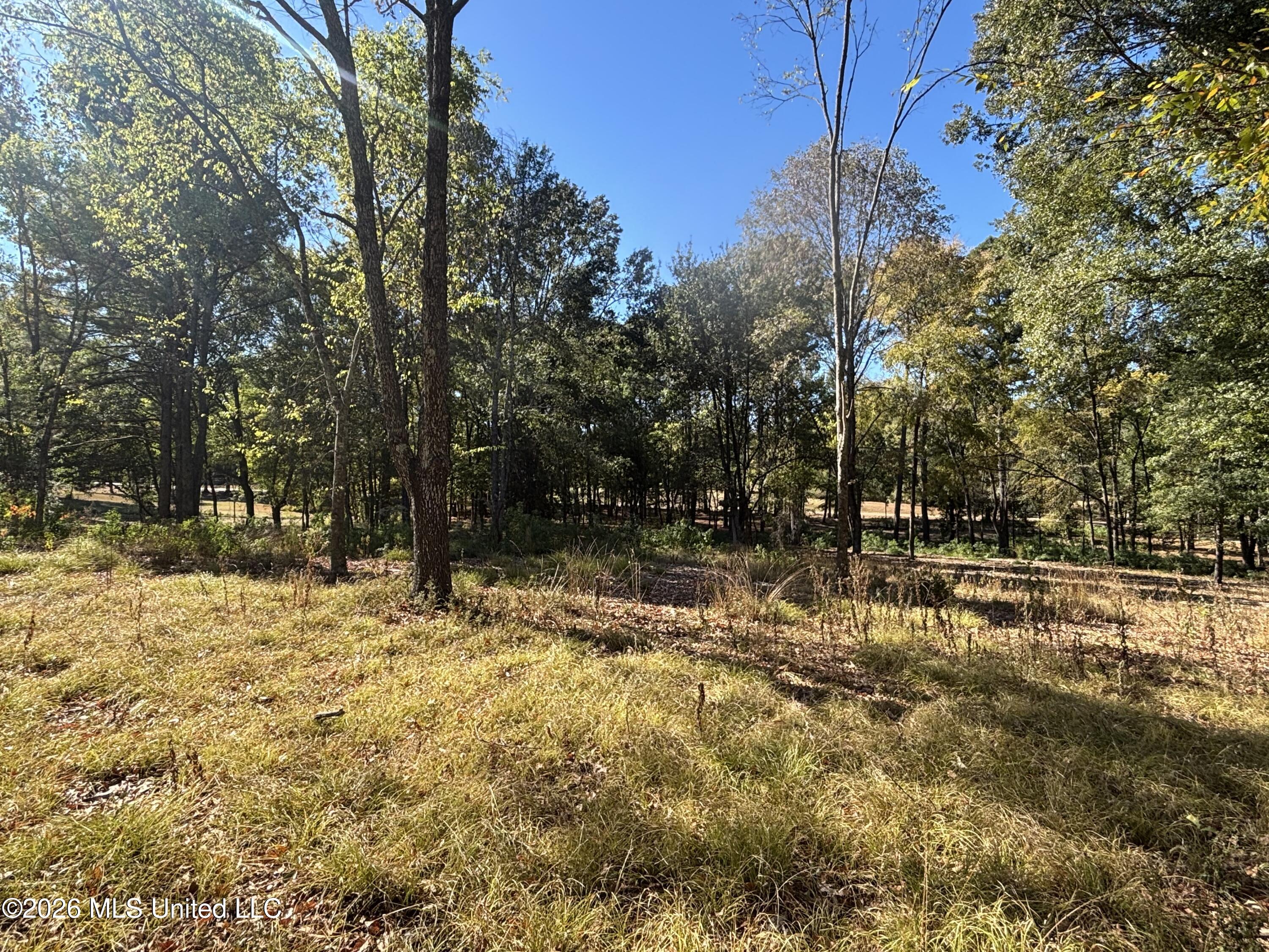 Rolling Meadows Property Photo 6