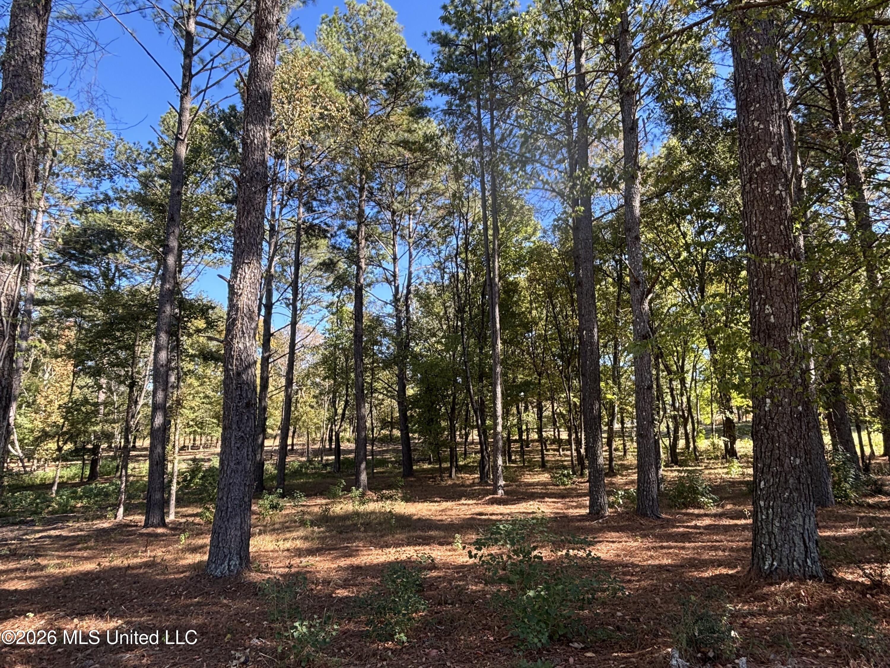 Rolling Meadows Property Photo 7