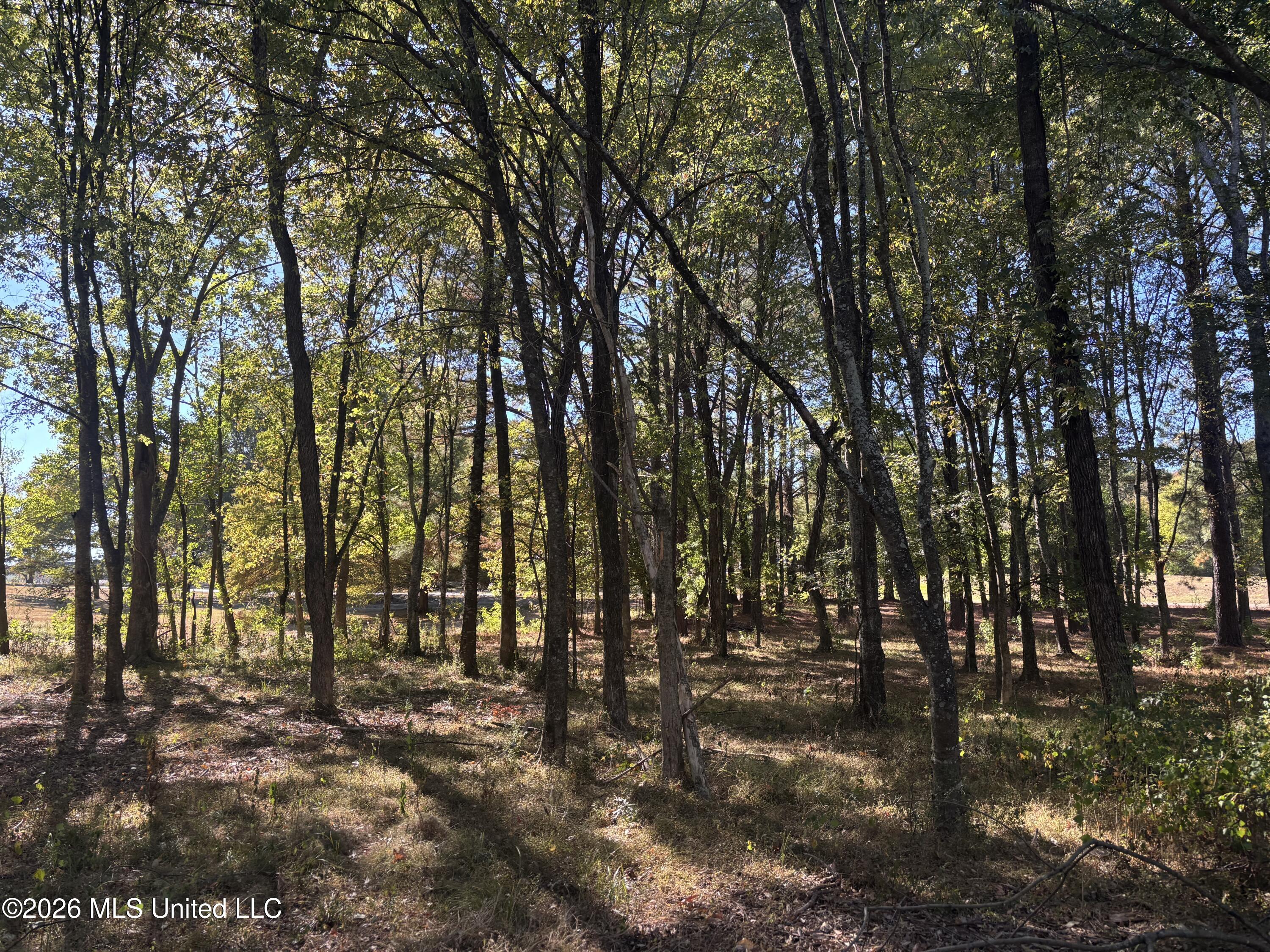 Rolling Meadows Property Photo 8